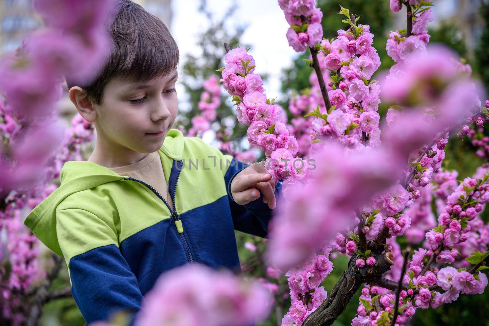 boy portrait, city outdoor, blooming trees, spring season, flowering time. happy boy explore nature
