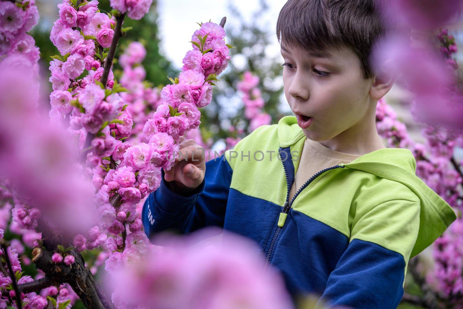 boy portrait, city outdoor, blooming trees, spring season, flowering time. happy boy explore nature