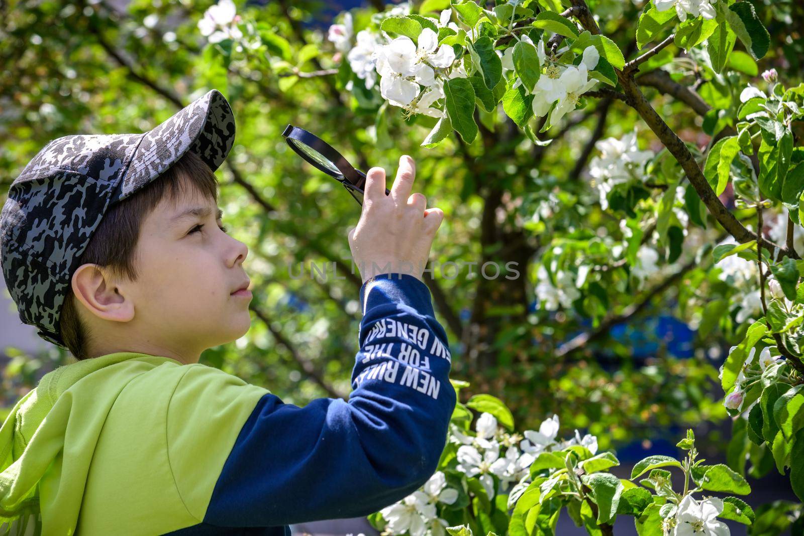 boy portrait, city outdoor, blooming trees, spring season, flowering time by Kobysh