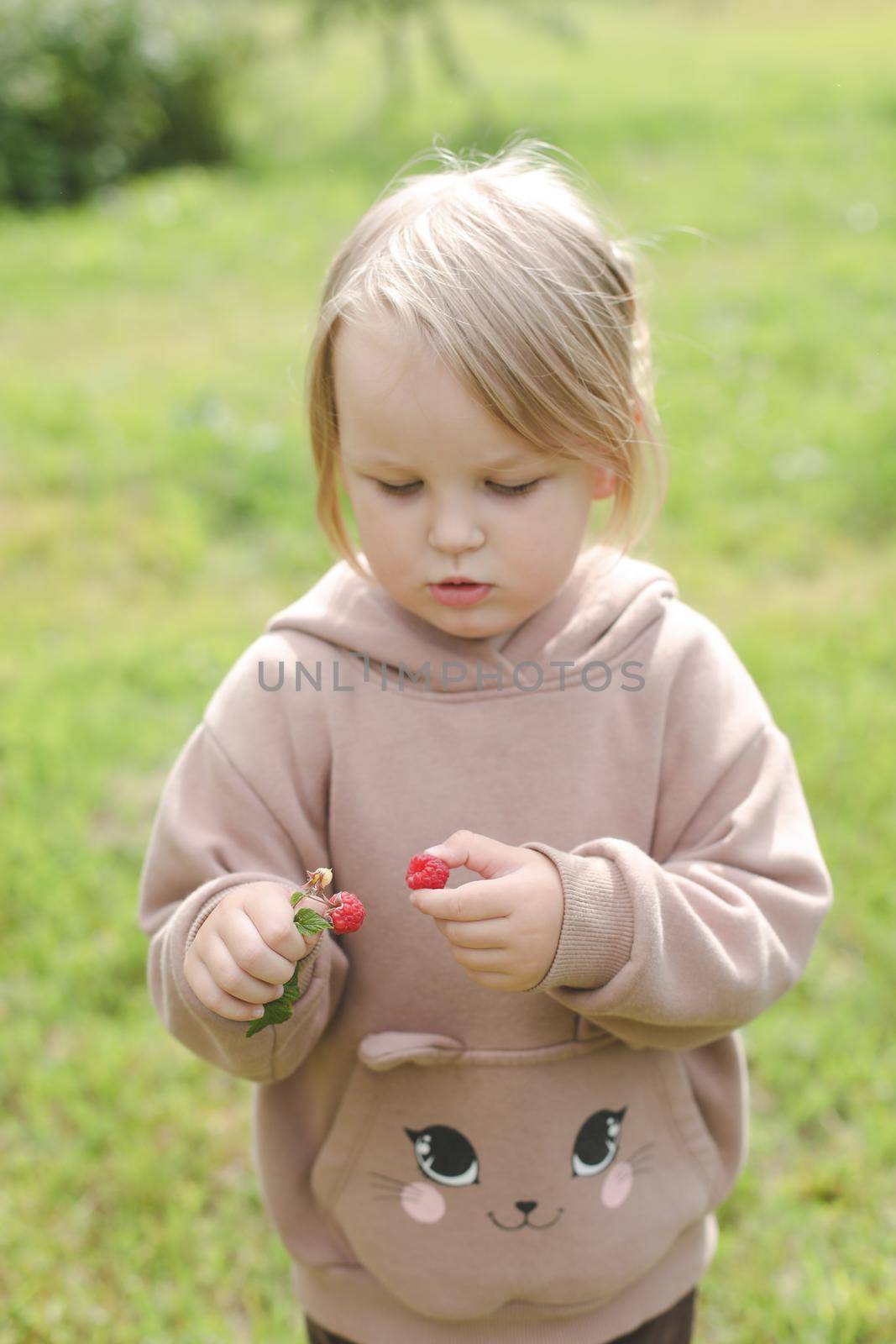 Beautiful little girl eating raspberry in the garden outdoors in summer by paralisart