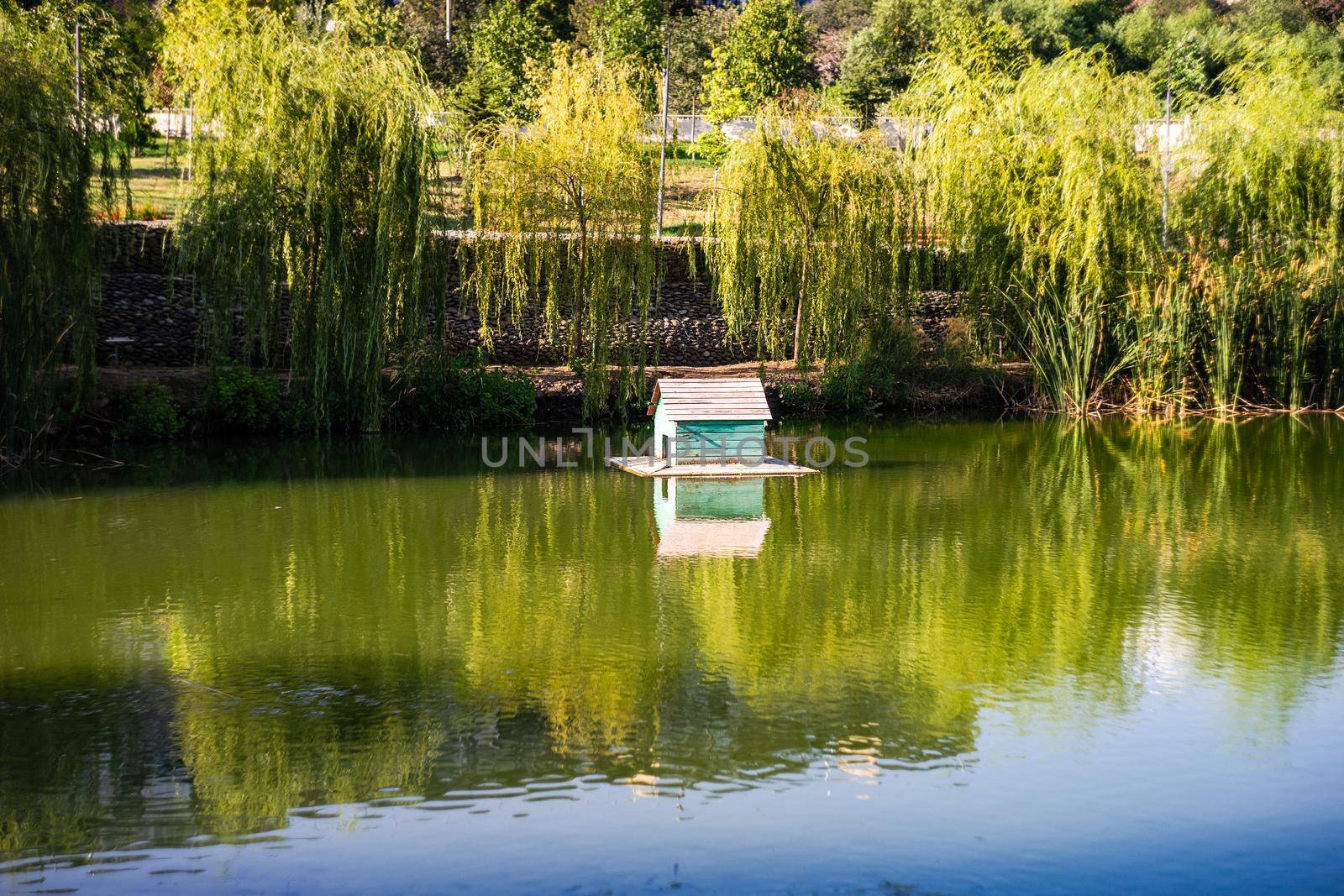 Summer pond with duck house with reflection by Elet