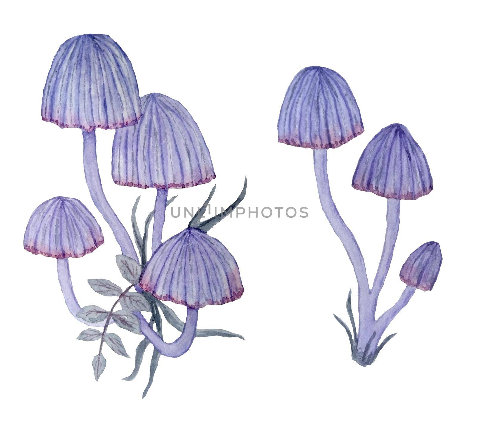 Watercolor hand drawn illustration of poisonous forest wood toadstools mushrooms. Purple pink dark halloween witch clipart in mystic magic boho style