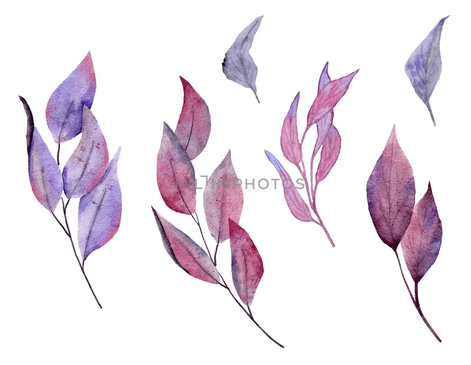 Watercolor hand drawn illustration of purple pink dark leaves leaf. Forest wood halloween herbs, witch witchcraft mystic magic concept, elegant fall autumn design. by Lagmar