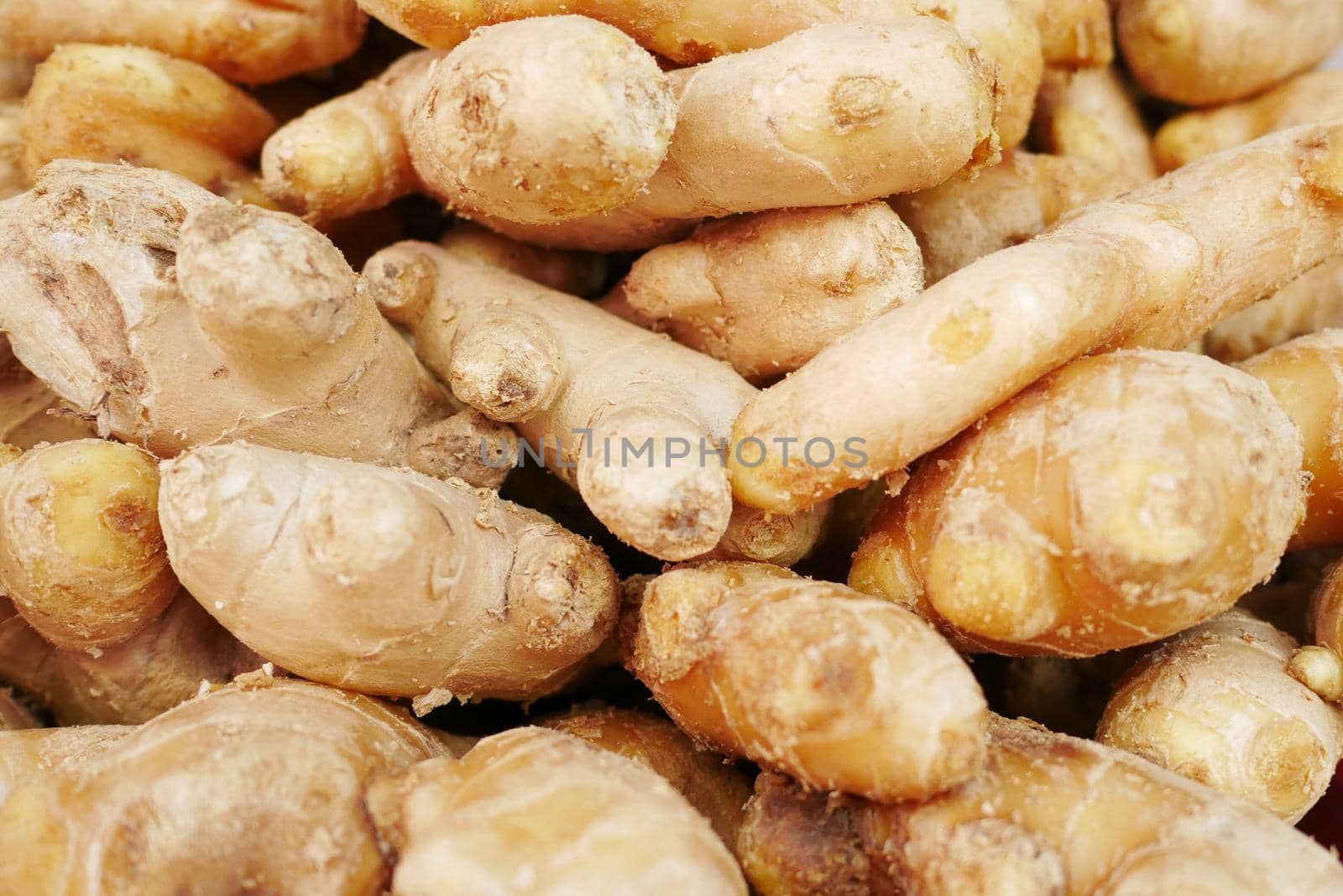 Close up of Gingers on chopping board