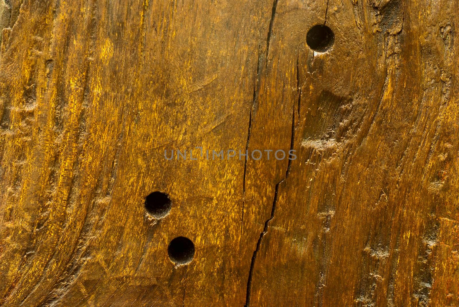 Texture and trenches on surface bark of tree trunk, abstract background