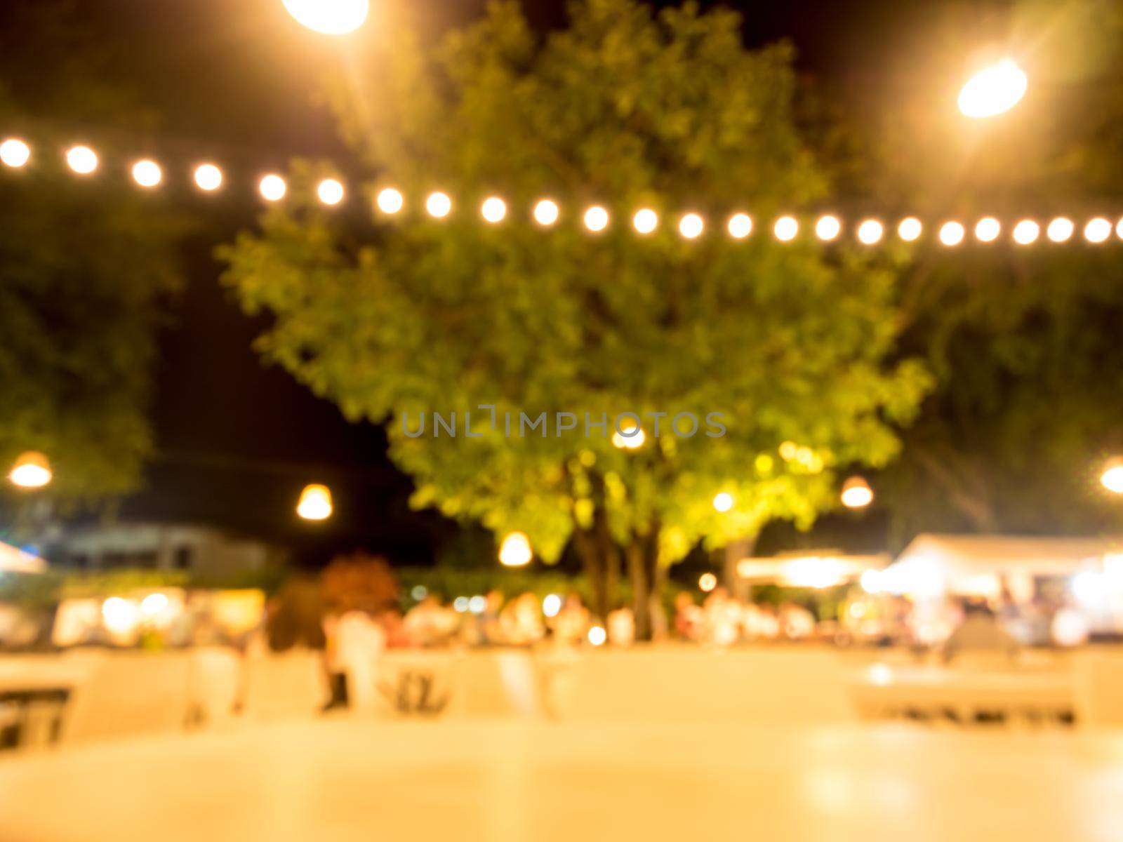 Blurred background of Garden lights illuminate the party