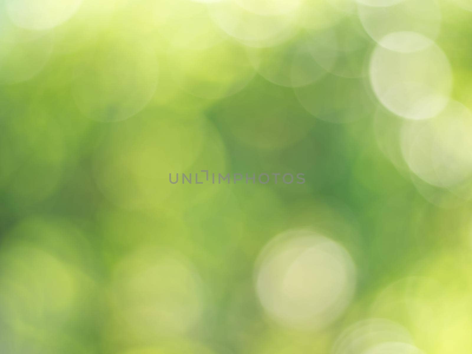 Lights and Green with yellow bokeh on nature defocus abstract blur background. Abstract background yellow and green tones of natural outdoors bokeh