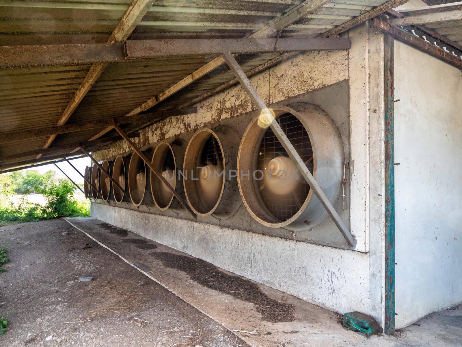 A row of exhaust fans from the livestock house