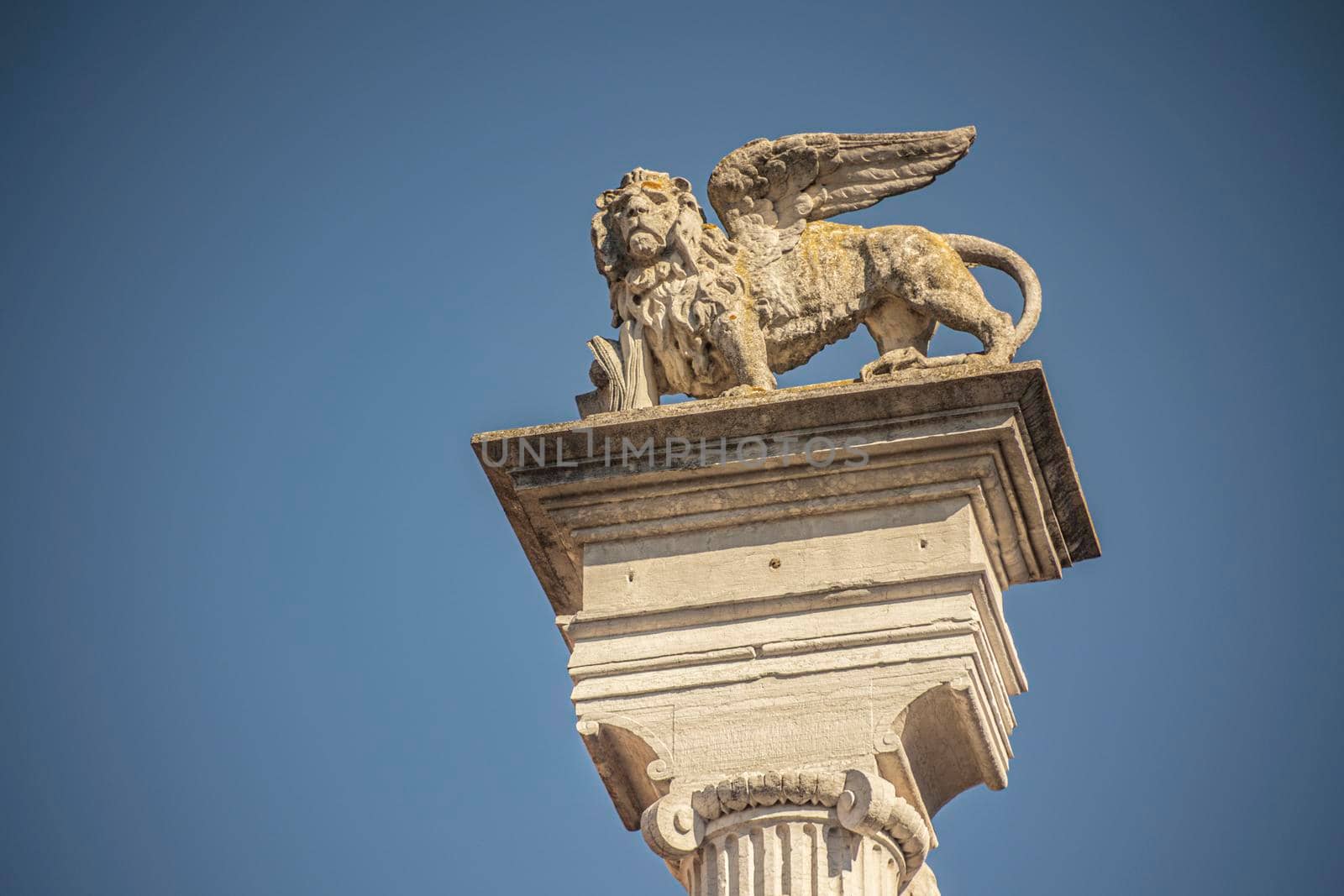 St. Mark winged lion statue in a italian stele in Rovigo