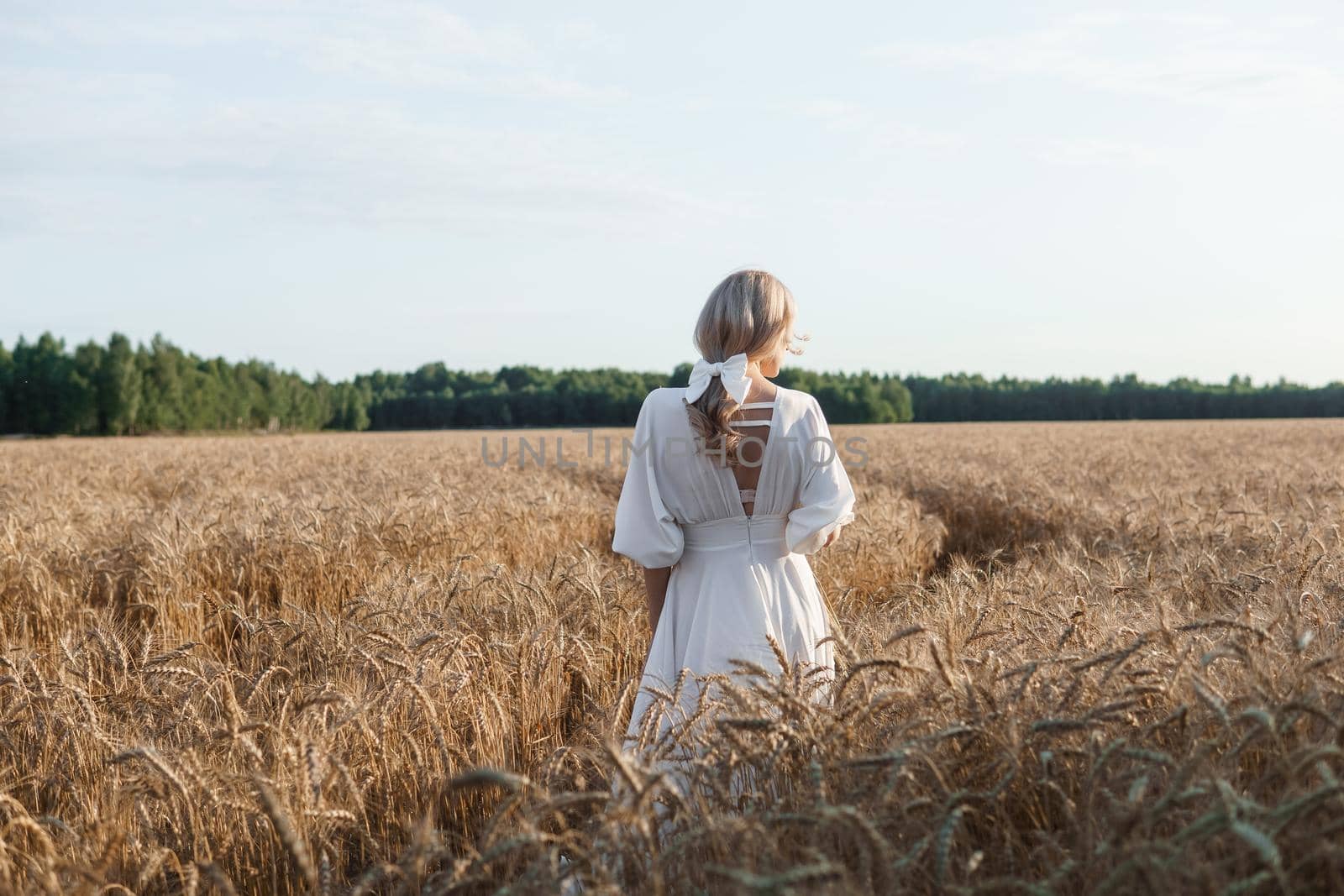 A blonde woman in a long white dress walks in a wheat field. The concept of a wedding and walking in nature.