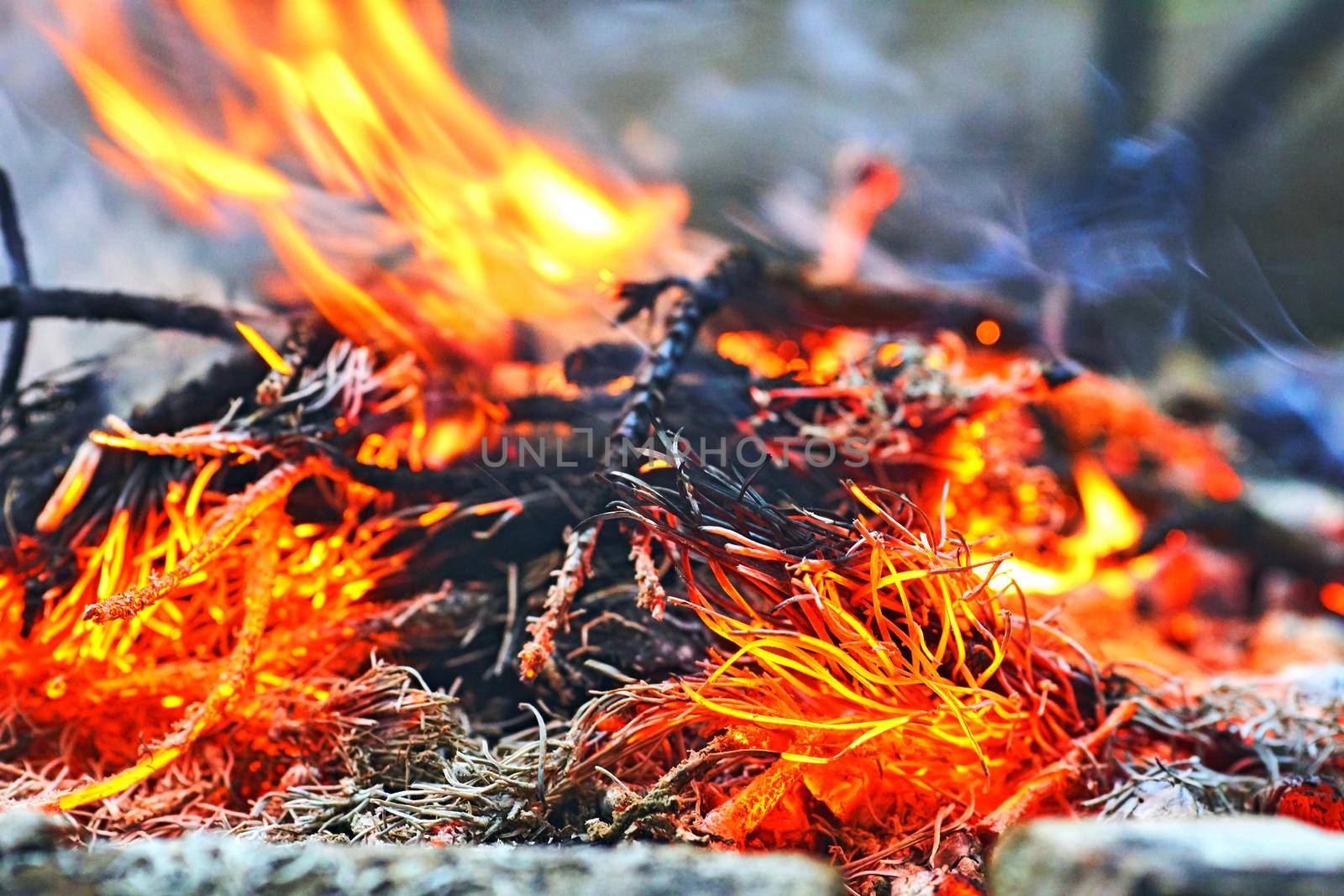 combustion or burning, in which substances combine chemically with oxygen from the air and typically give out bright light, heat, and smoke. Fire in the forest burning pine branches. .