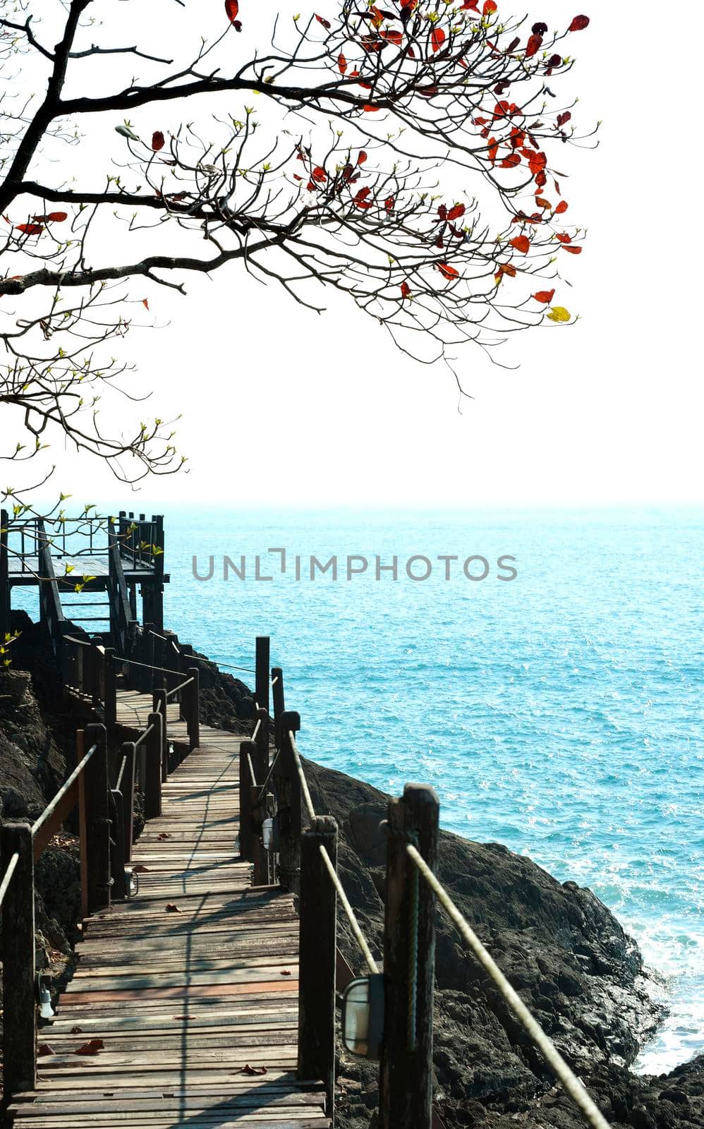 The wooden bridge at cliff and sea by Satakorn