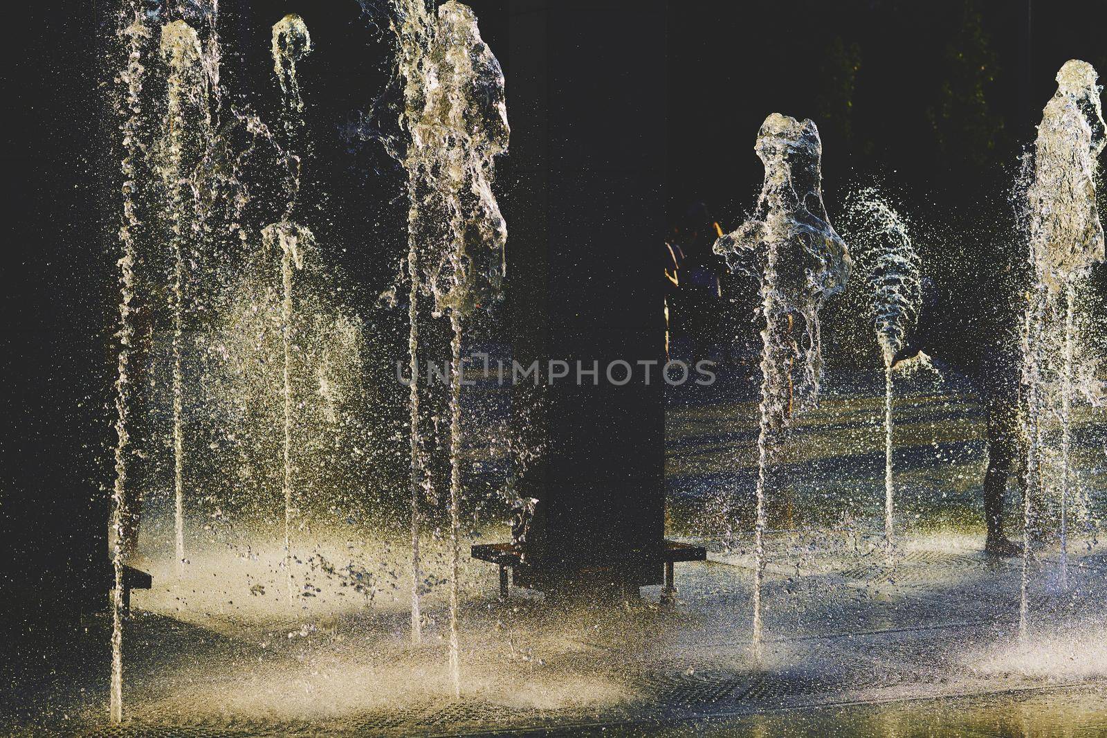 an ornamental structure in a pool or lake from which one or more jets of water are pumped into the air.