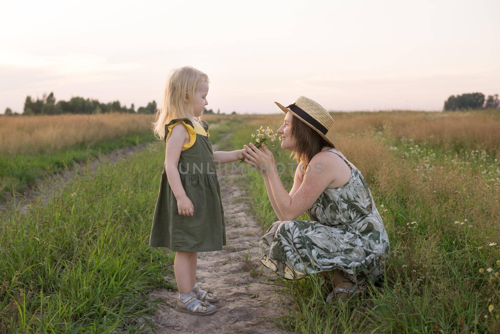 Mom and daughter walk through a chamomile field, and collect a bouquet of flowers. The concept of family relations, nature walks, freedom and a healthy lifestyle.