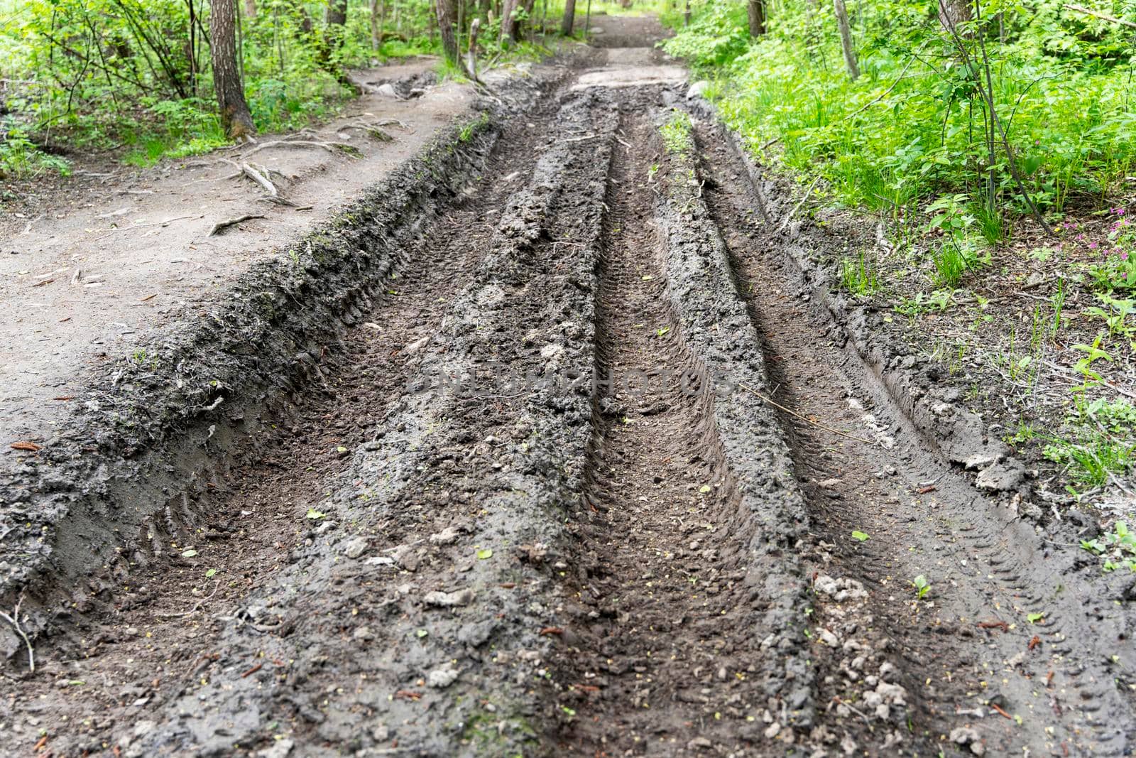 a dirty, impassable forest road, muddy after rains, with traces of truck tires and ATVs