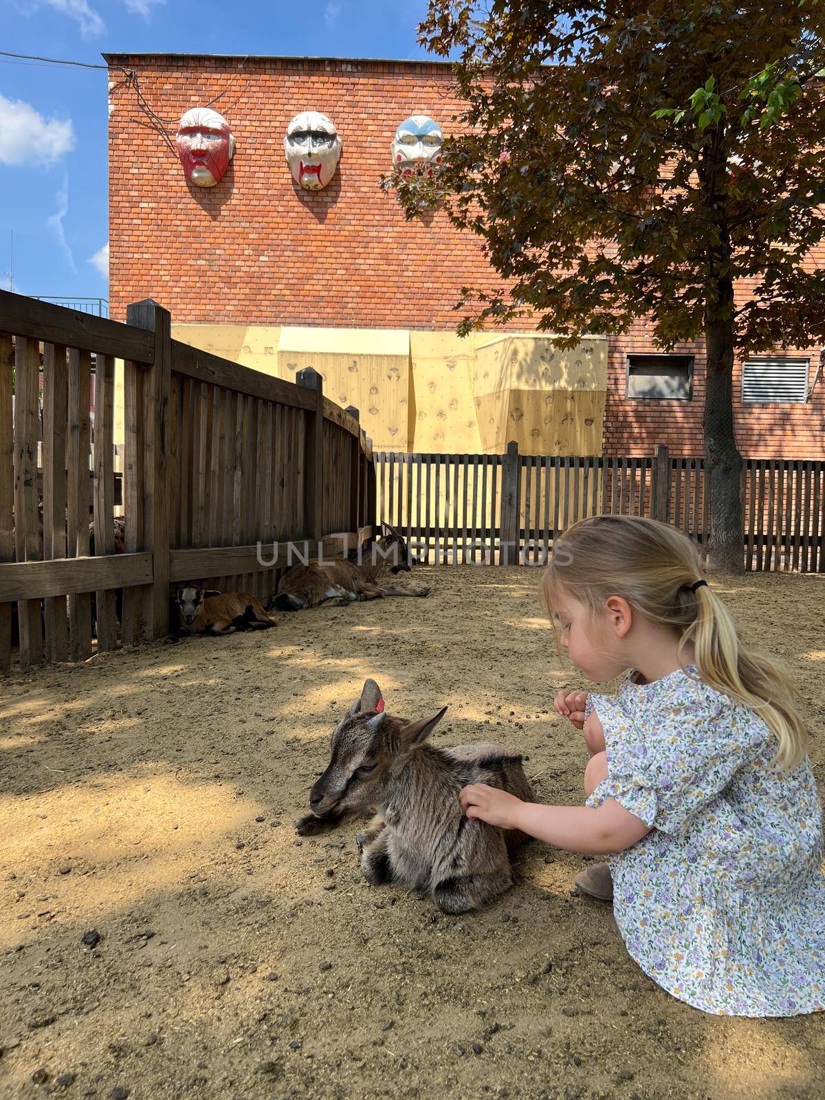 Little girl petting a goatling in a corral at the farm. High quality photo