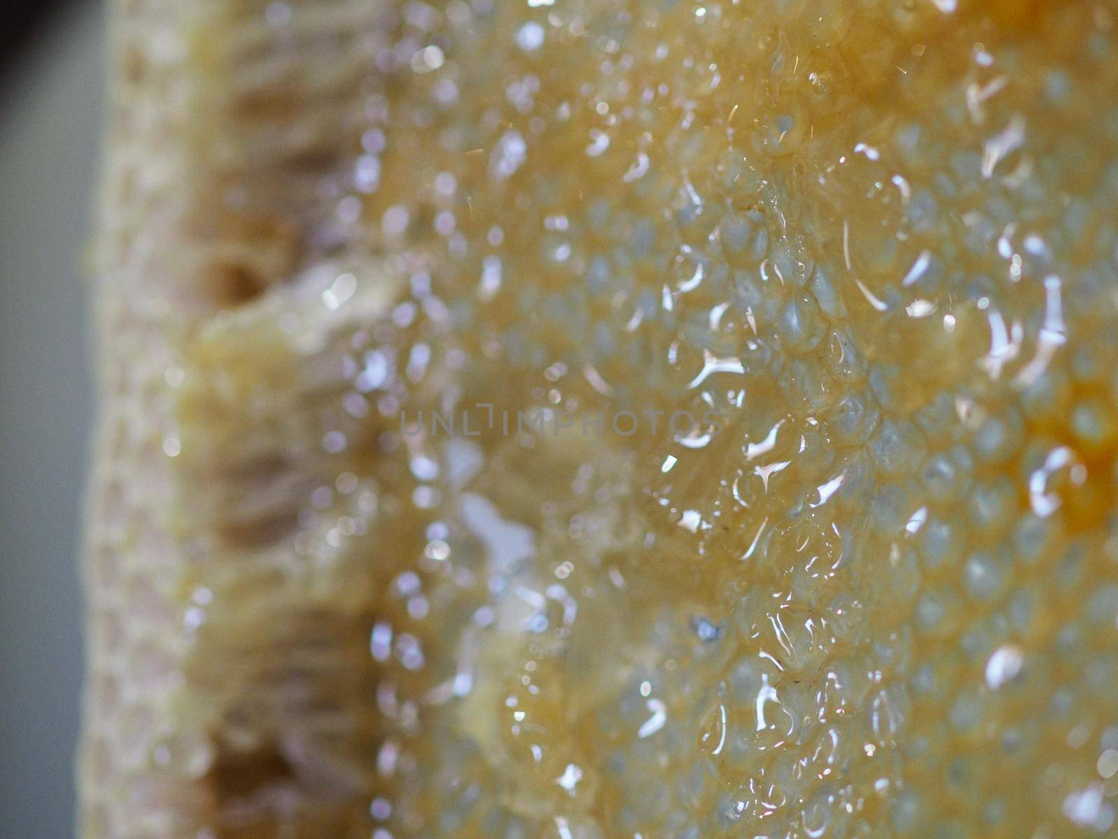 Natural raw honey being filtered ad dripped through a strainer to filter our bees wax.