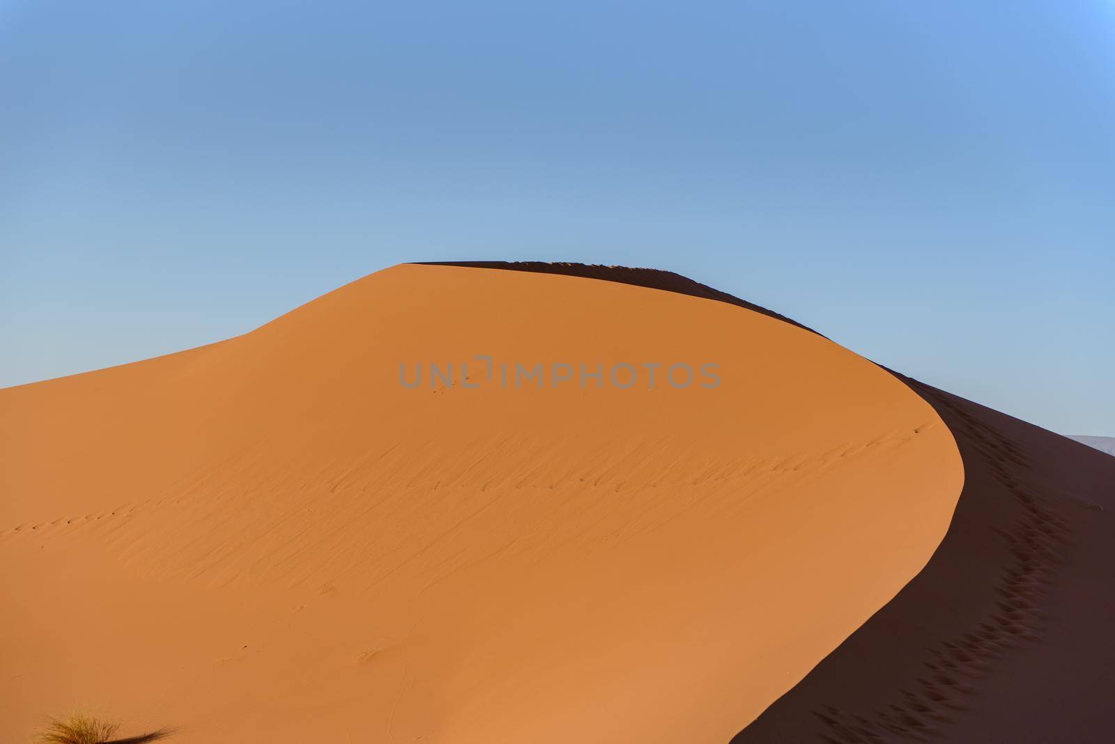 Dunes in the desert of Sahara, Morocco.