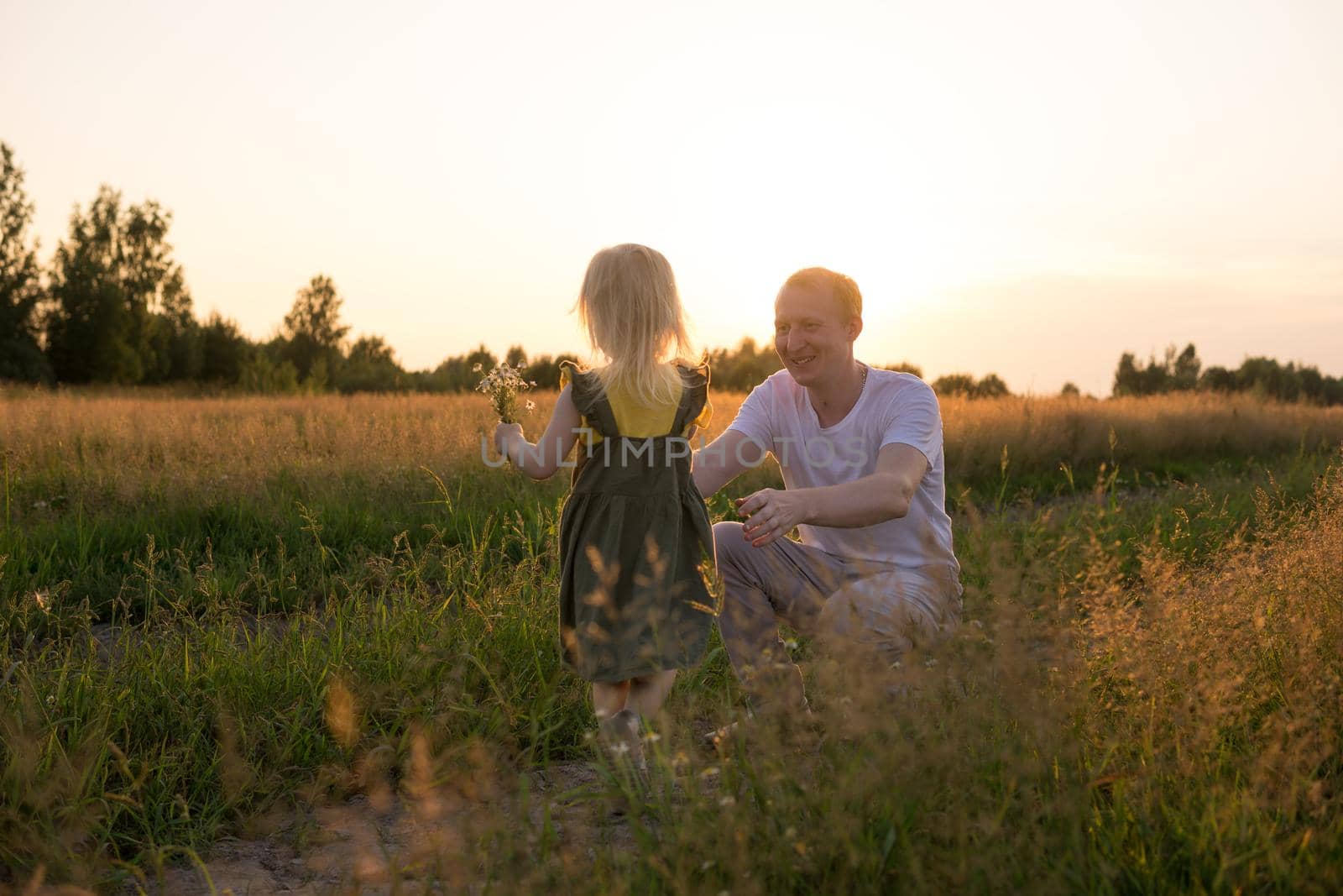 Dad and his blonde daughter are walking and having fun in a chamomile field. The concept of Father's Day, family and nature walks.