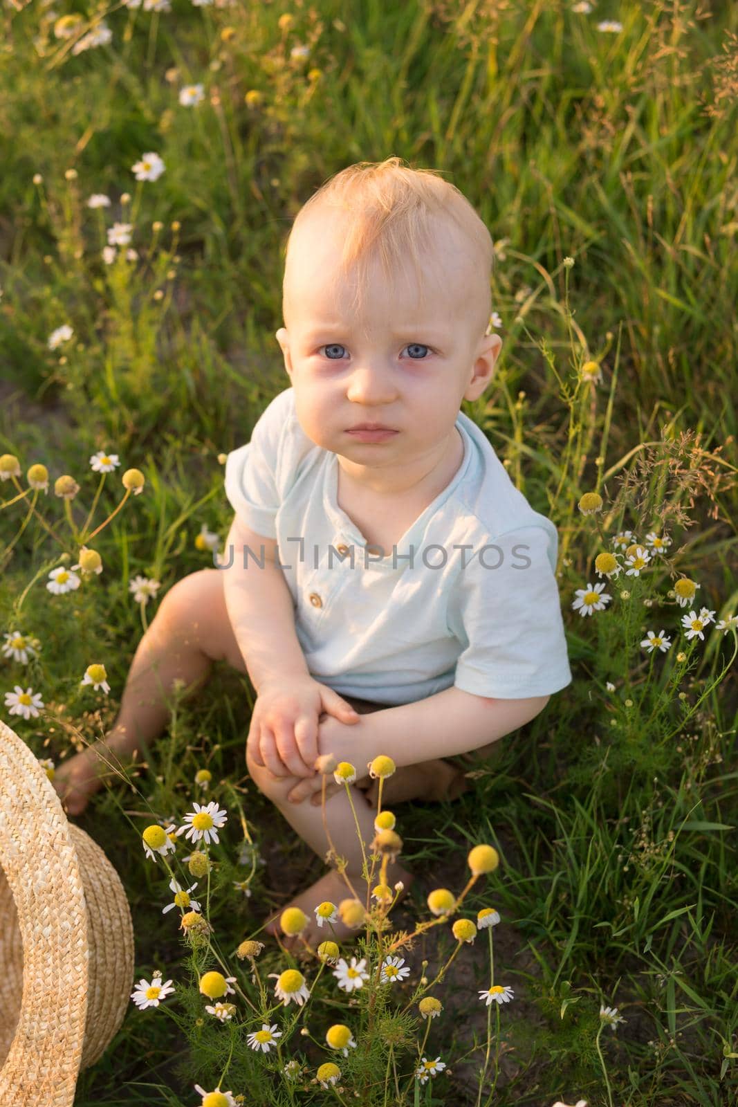 A little blond boy in a straw hat is sitting in the grass in a chamomile field. The concept of walking in nature, freedom and an environmentally friendly lifestyle.