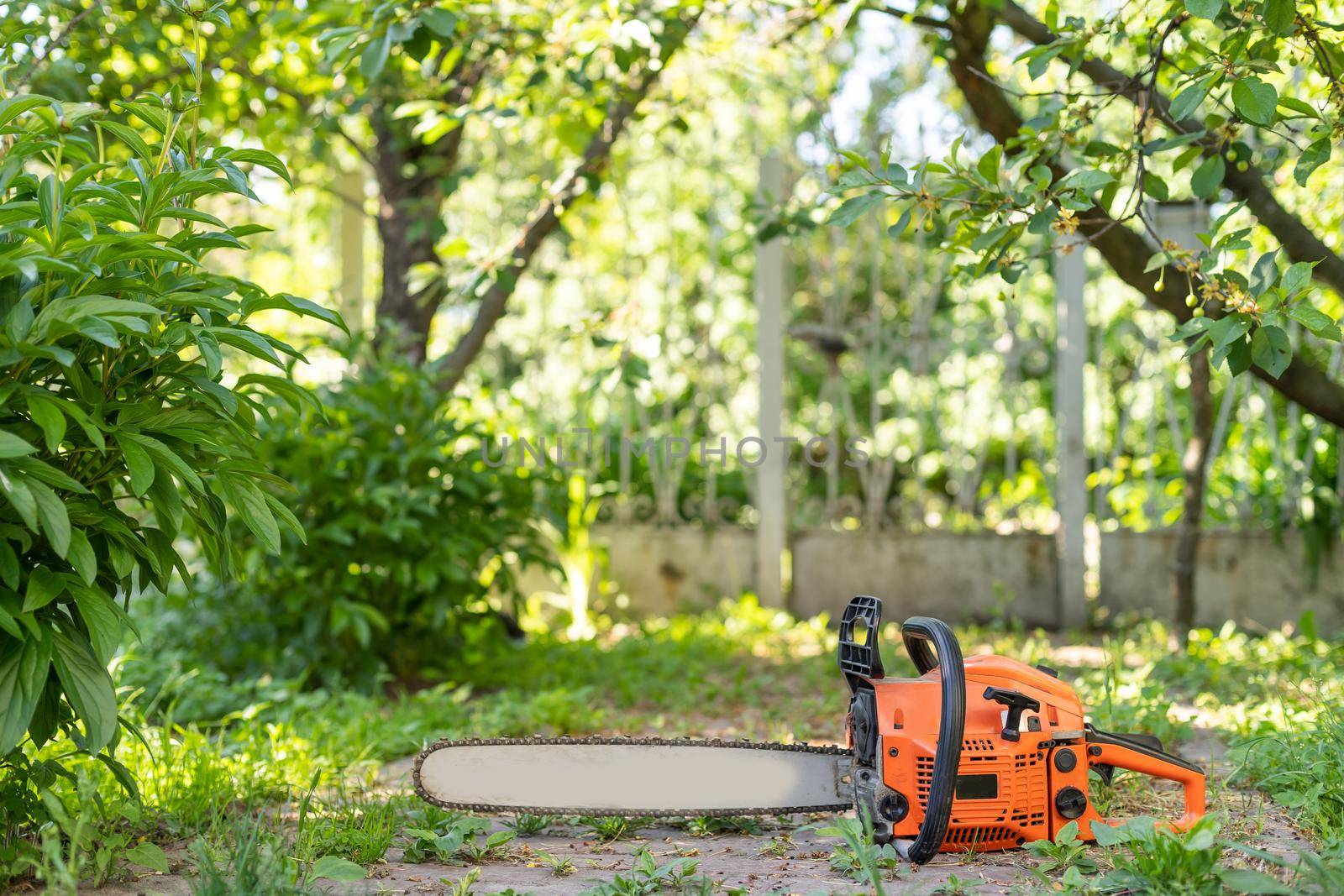 Chainsaw that stands on a heap of firewood in the yard on a beautiful background of green grass and forest