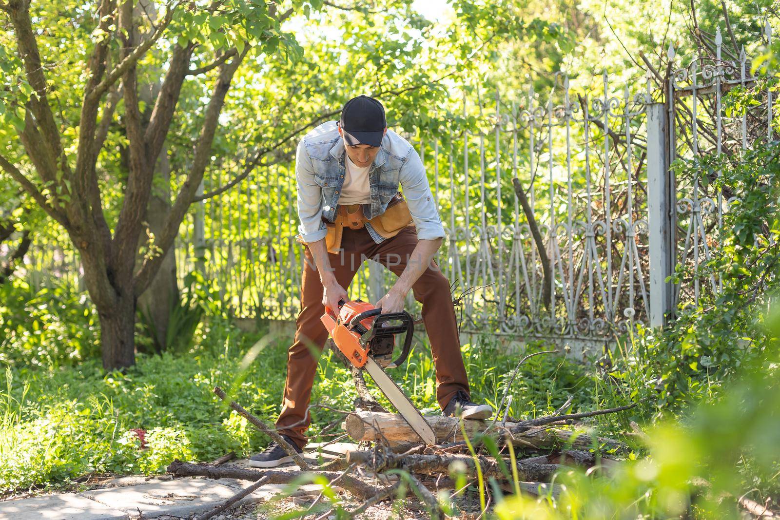 a man with a chainsaw. removes plantings in the garden from old trees, harvests firewood