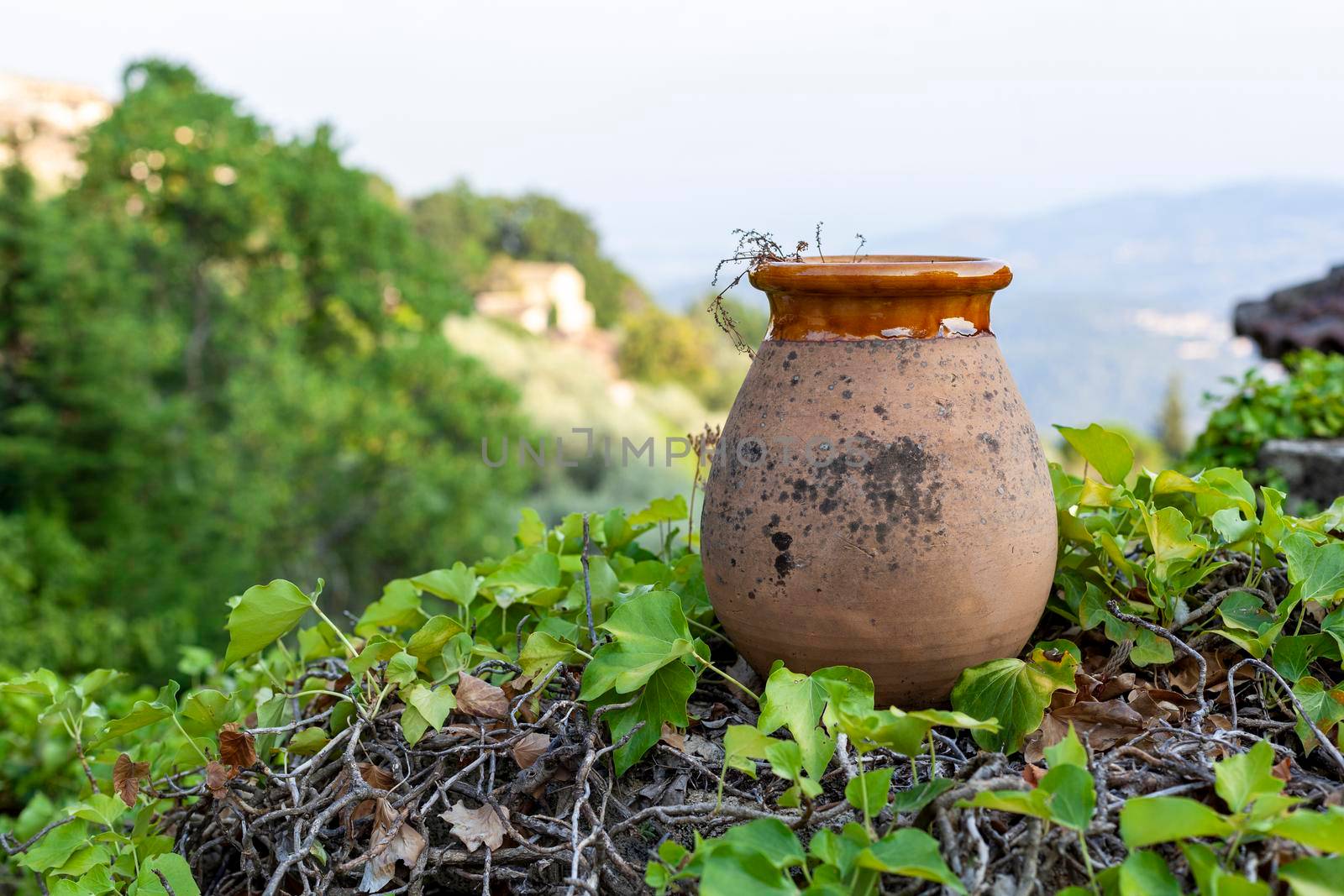 old time ceramic decorative jar in a garden, nature background