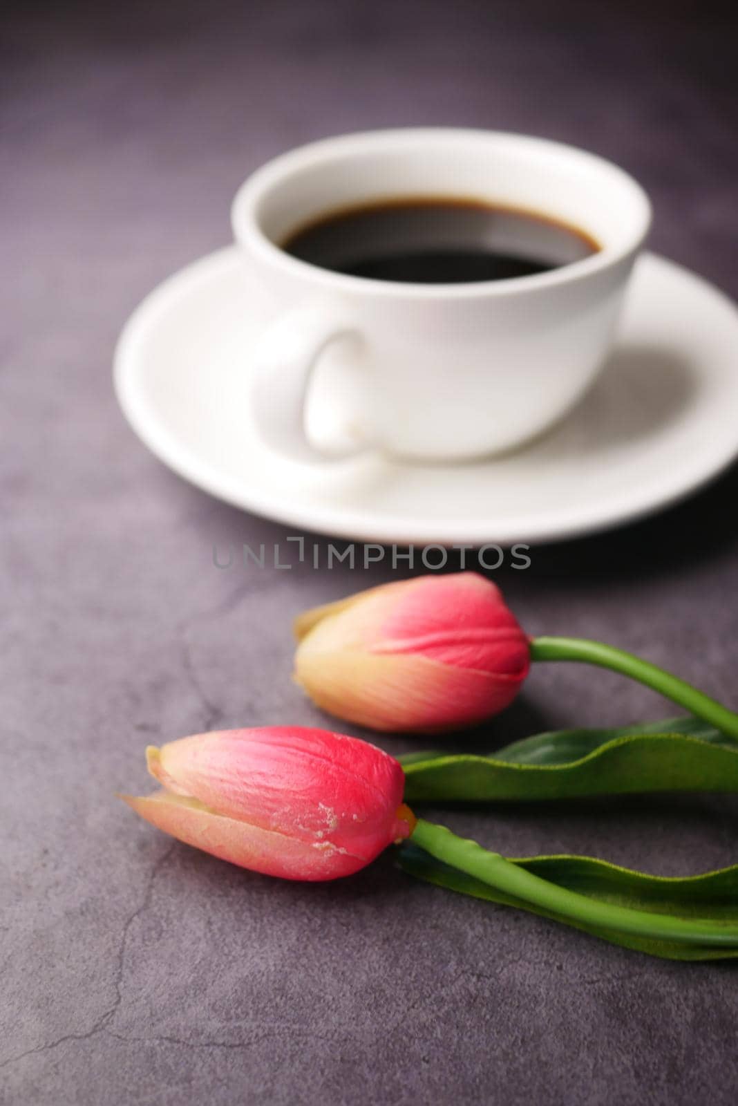 pink tulip and coffee cup on black background ,