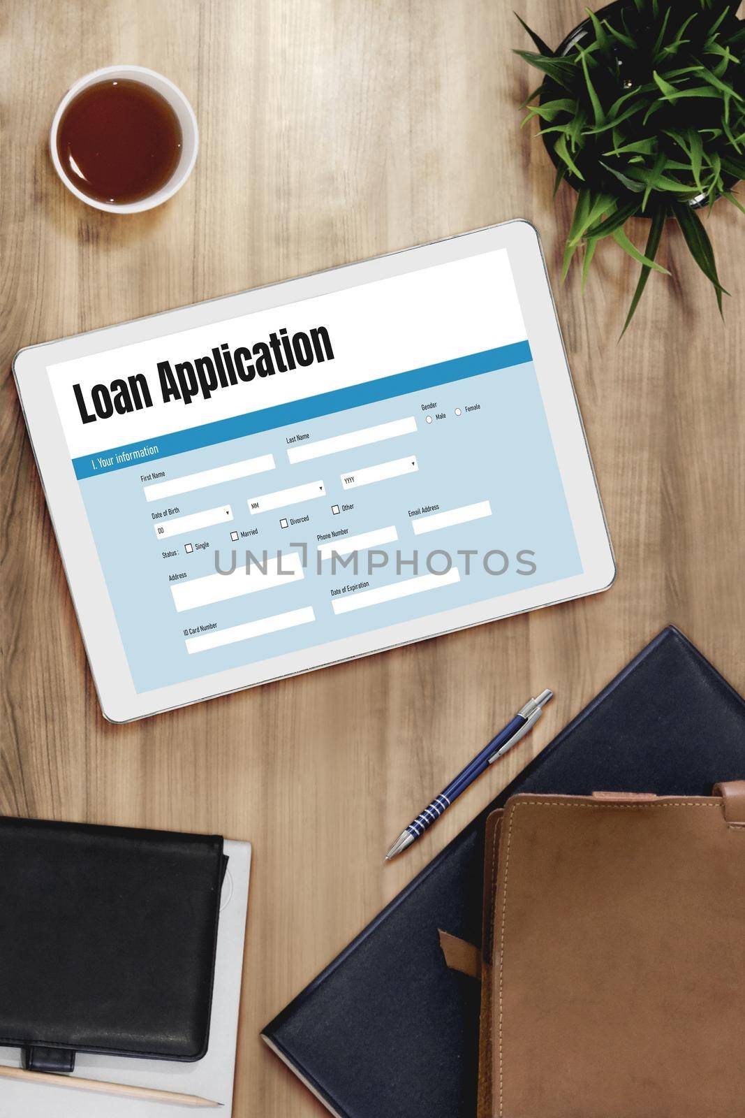 Online loan application form for modish digital information collection by biancoblue