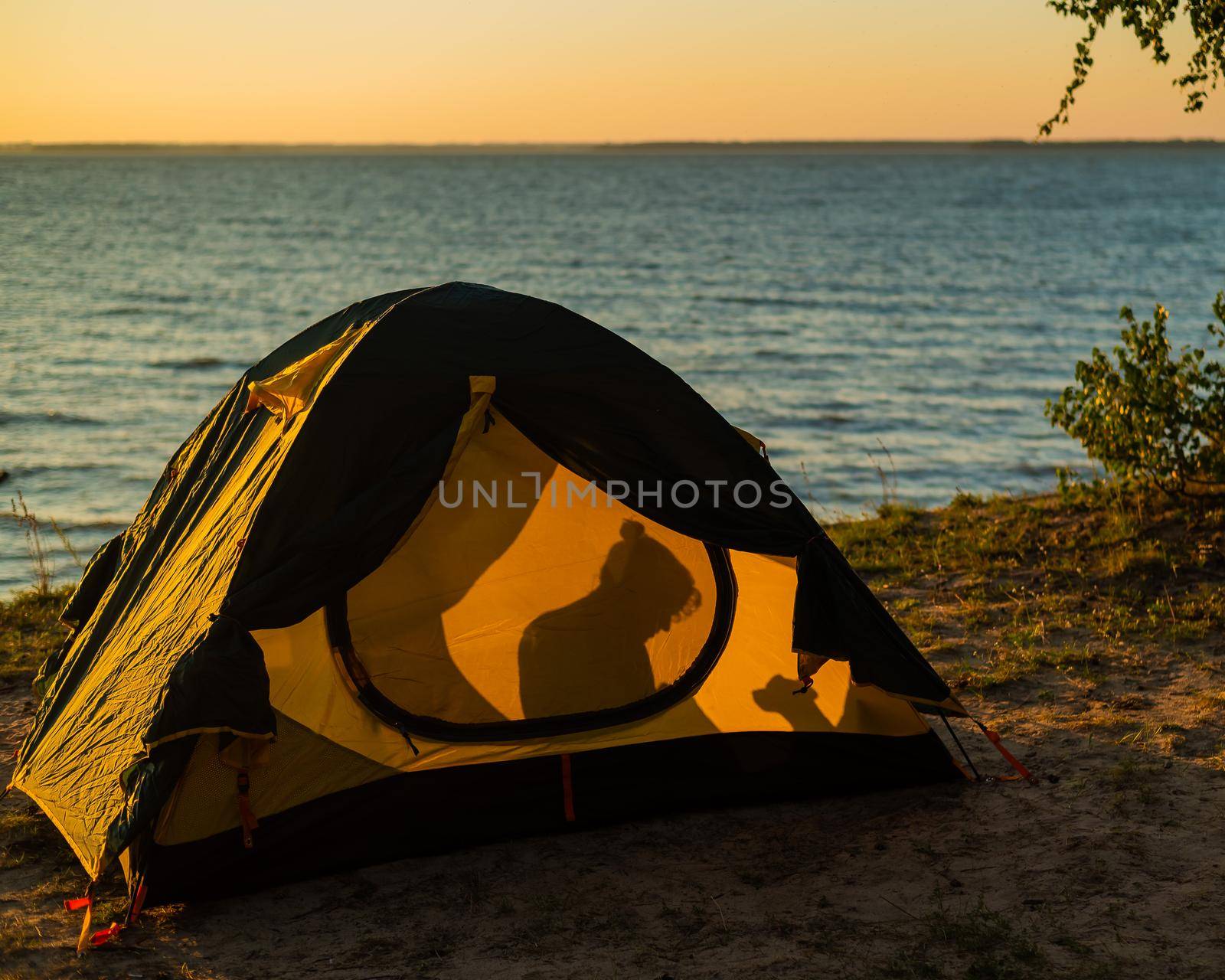 Woman and dog in a tourist tent at sunset. Camping with a pet.