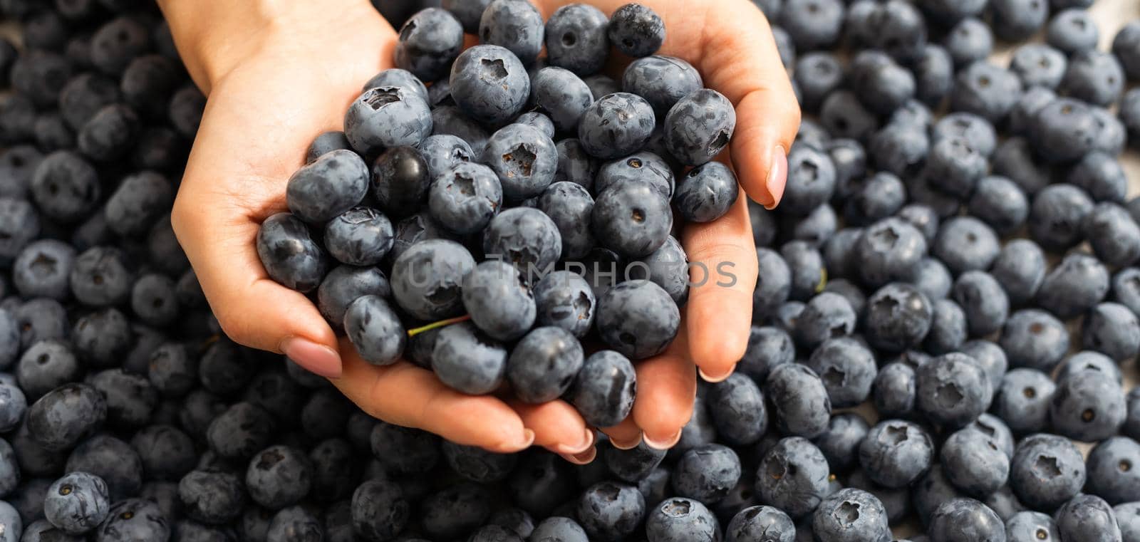 Close-up of hands holding blueberry. Harvest, summer, healthy eating concept. by Andelov13