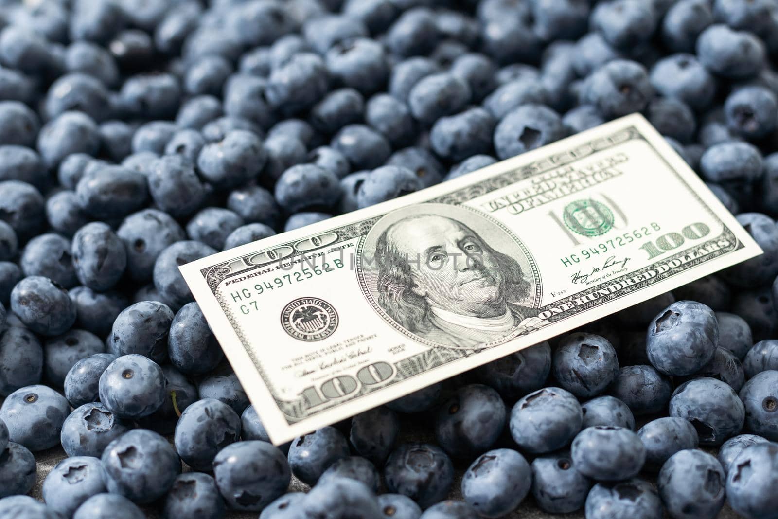 money on the background of a large blueberry by Andelov13