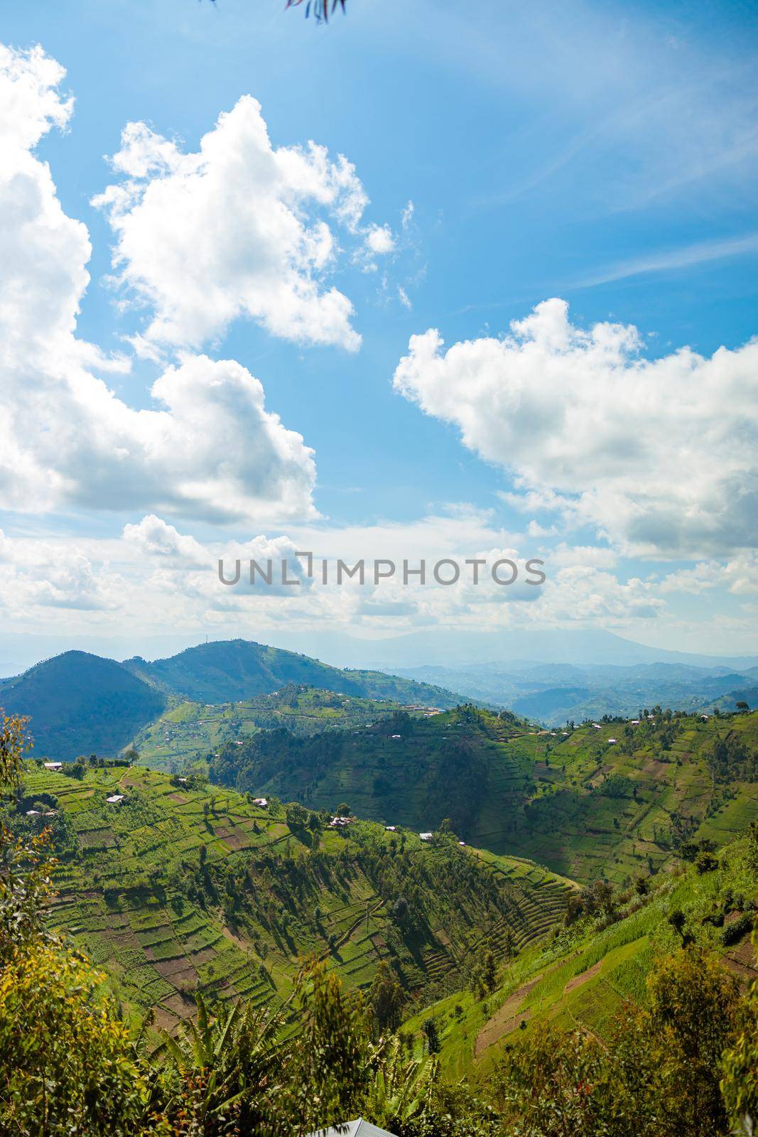 Vertical photo of green vally in the mountains in South Africa. Copy space