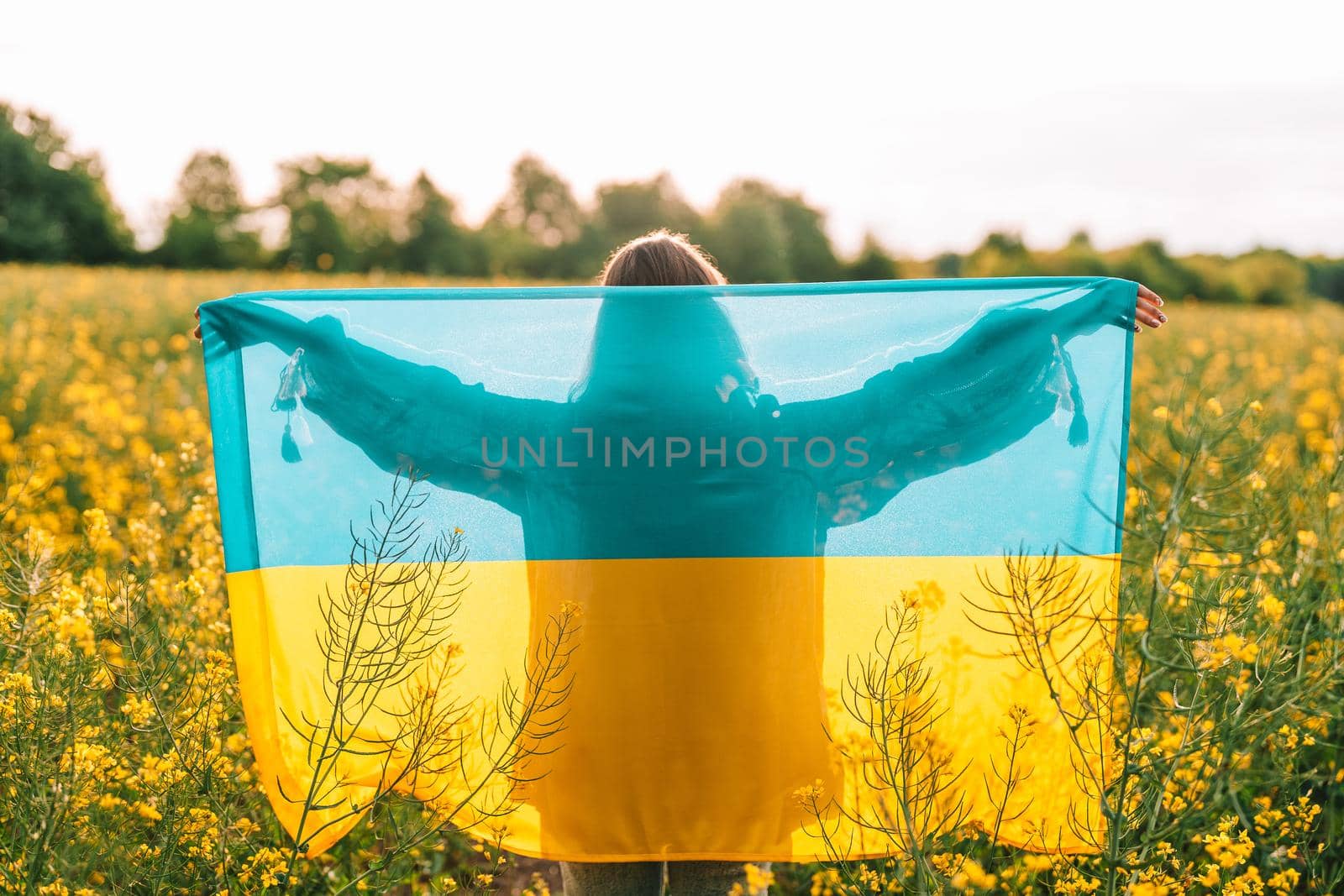 Unrecognizable ukrainian patriot woman standing with national flag in canola yellow field. Rare, back view. Ukraine unbreakable, peace, independence, freedom, victory in war. High quality photo