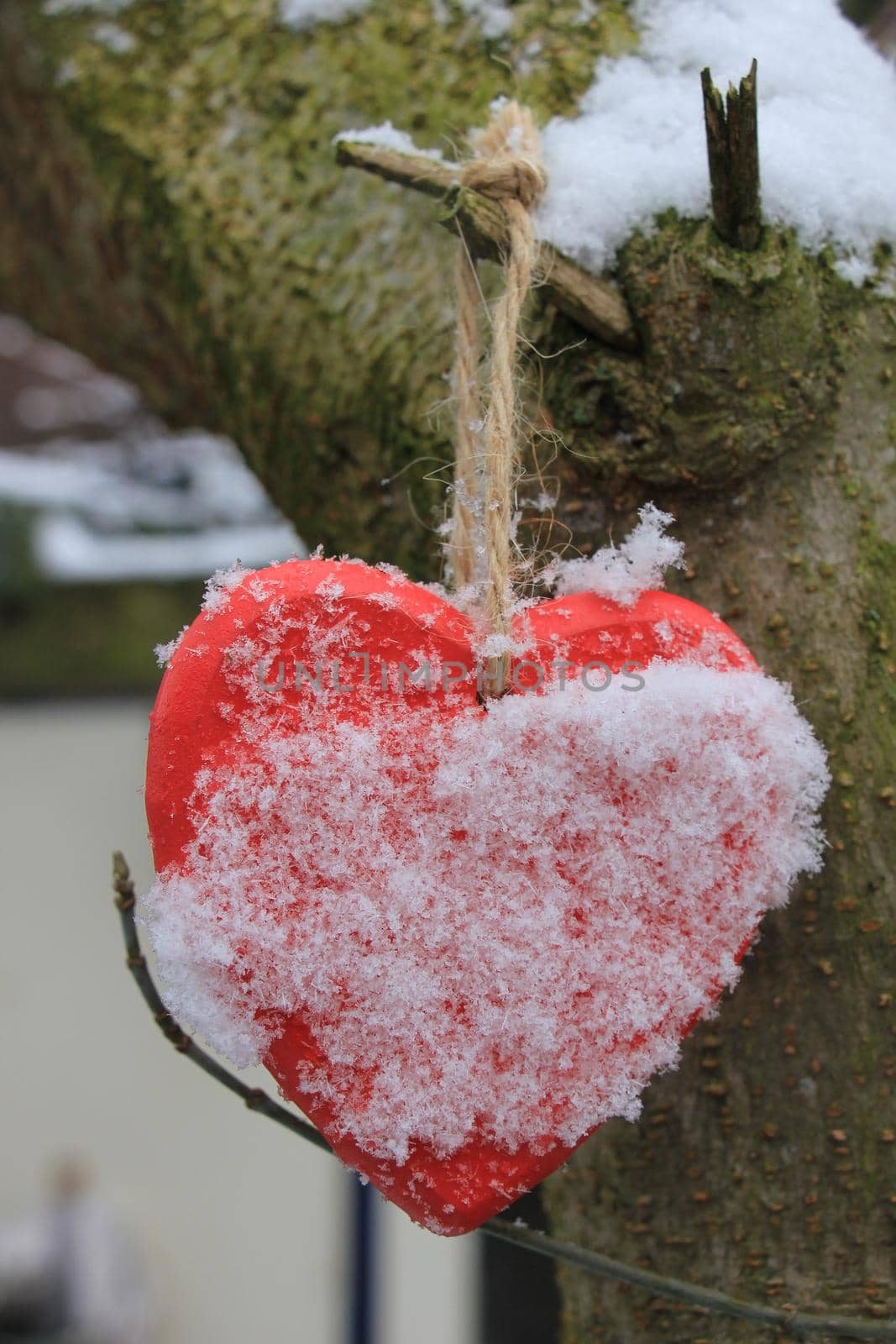 Red wooden heart shaped ornaments with fresh fallen snow