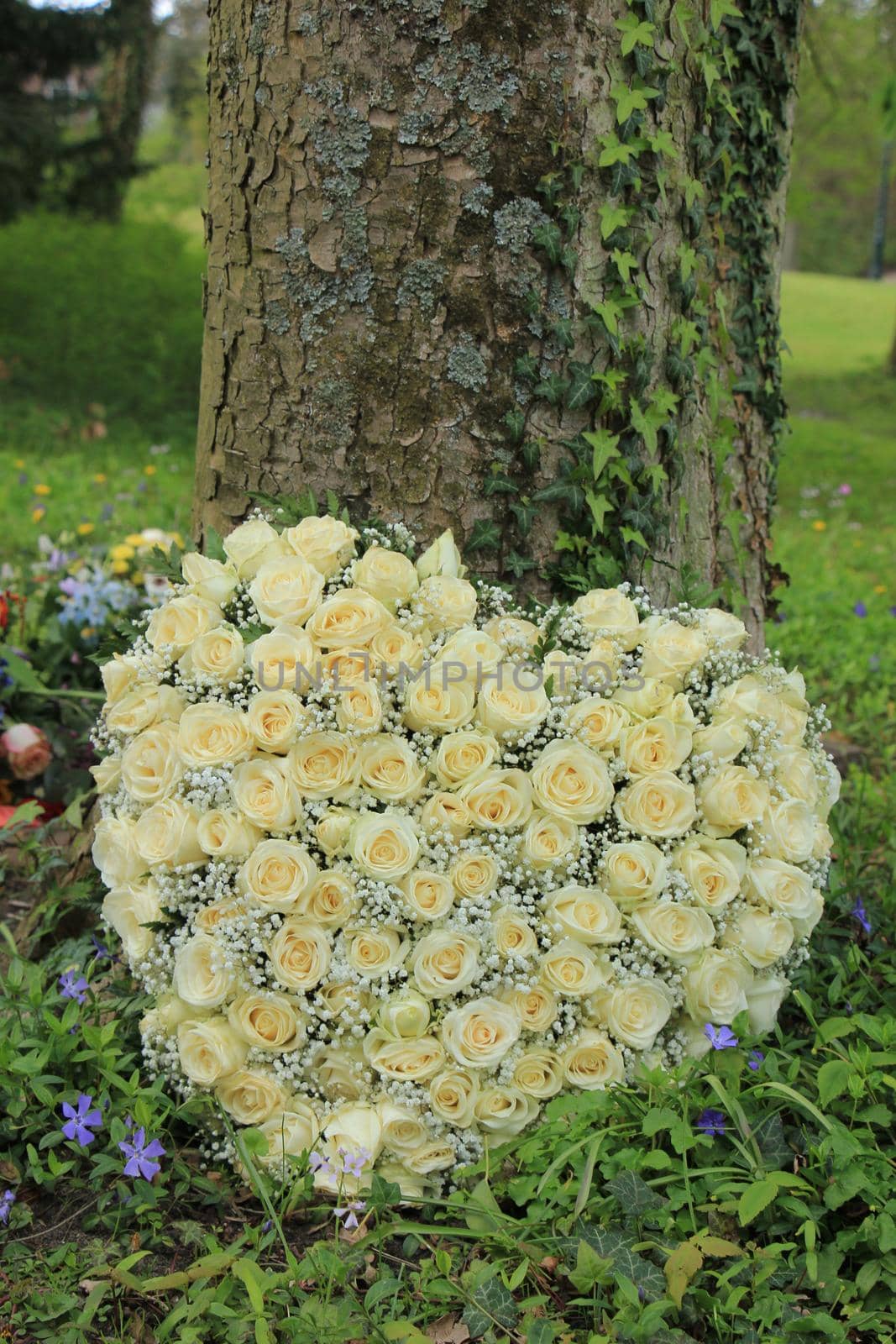 Heart shaped sympathy flowers  or funeral flowers near a tree