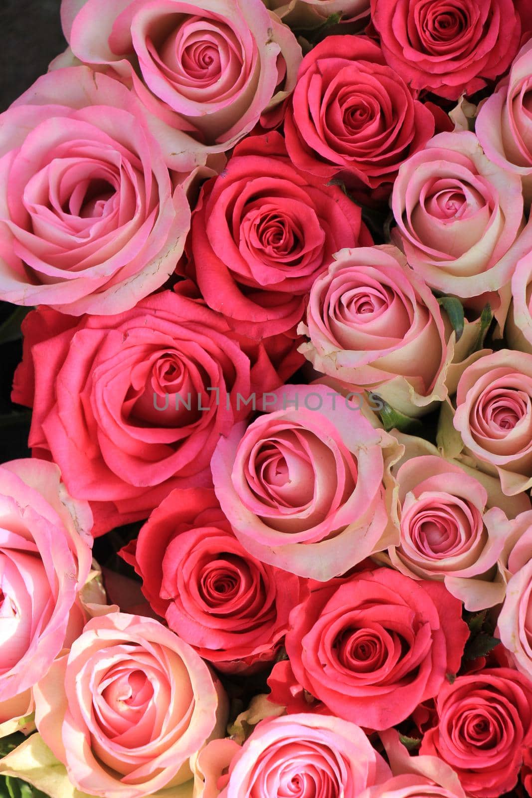 Mixed pink roses in a floral wedding decoration by studioportosabbia