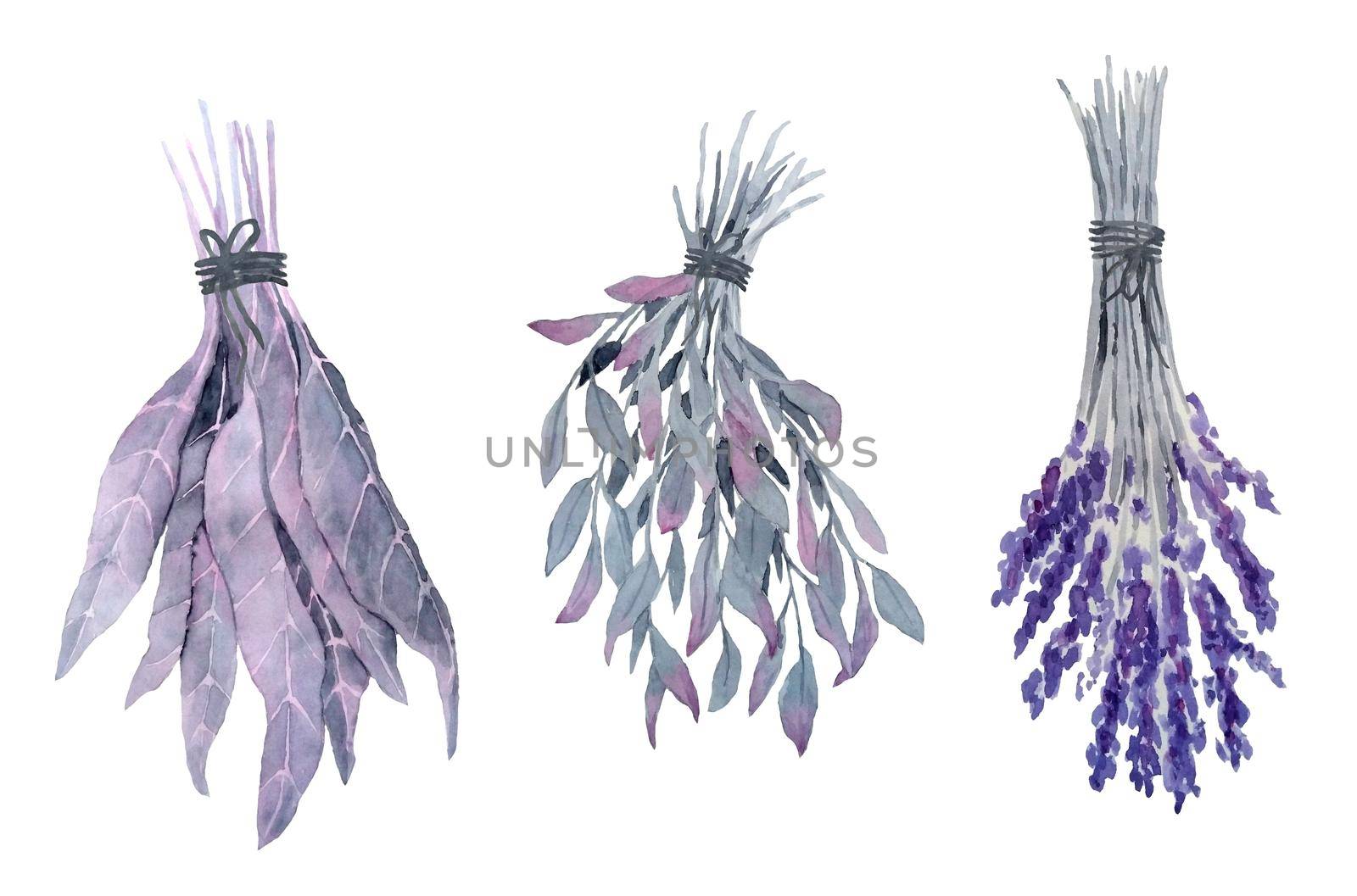 Watercolor hand drawn dried herbs, witch witchcraft plant harvest, flower leves for potion brew occult gothic illsutration. Purple Halloween decor