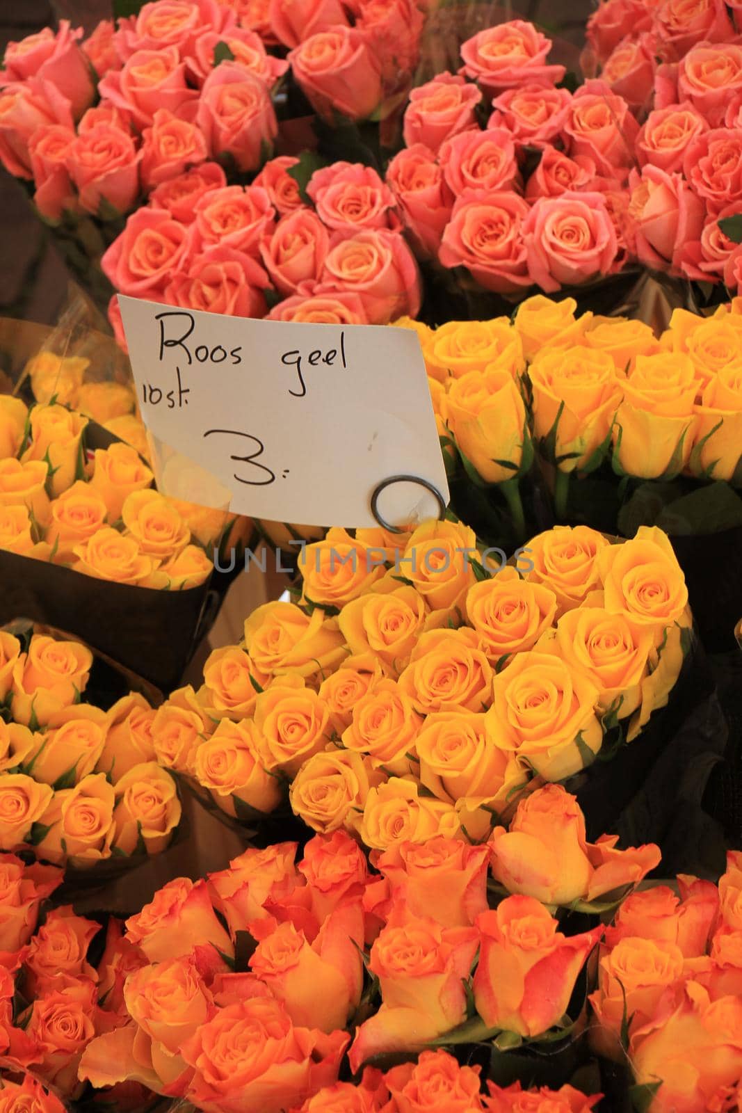 Roses in various colors at a market (text on tags: names and prices in Dutch)