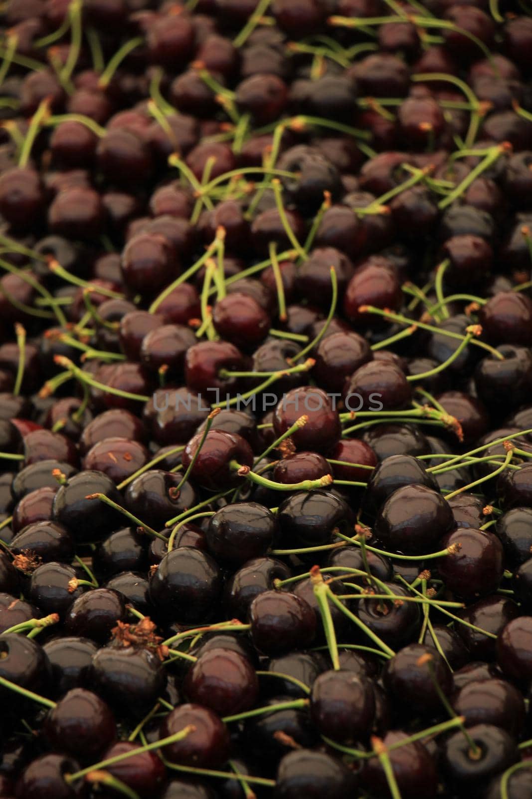 Fresh cherries for sale at a market by studioportosabbia