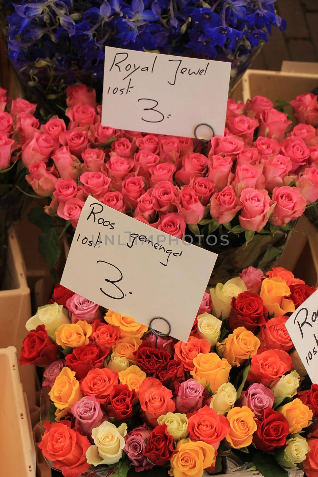 Flowers in various colors at a market (text on tags: names and prices in Dutch)