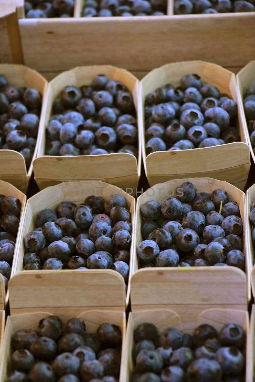Blueberries  in small boxes on a market stall
