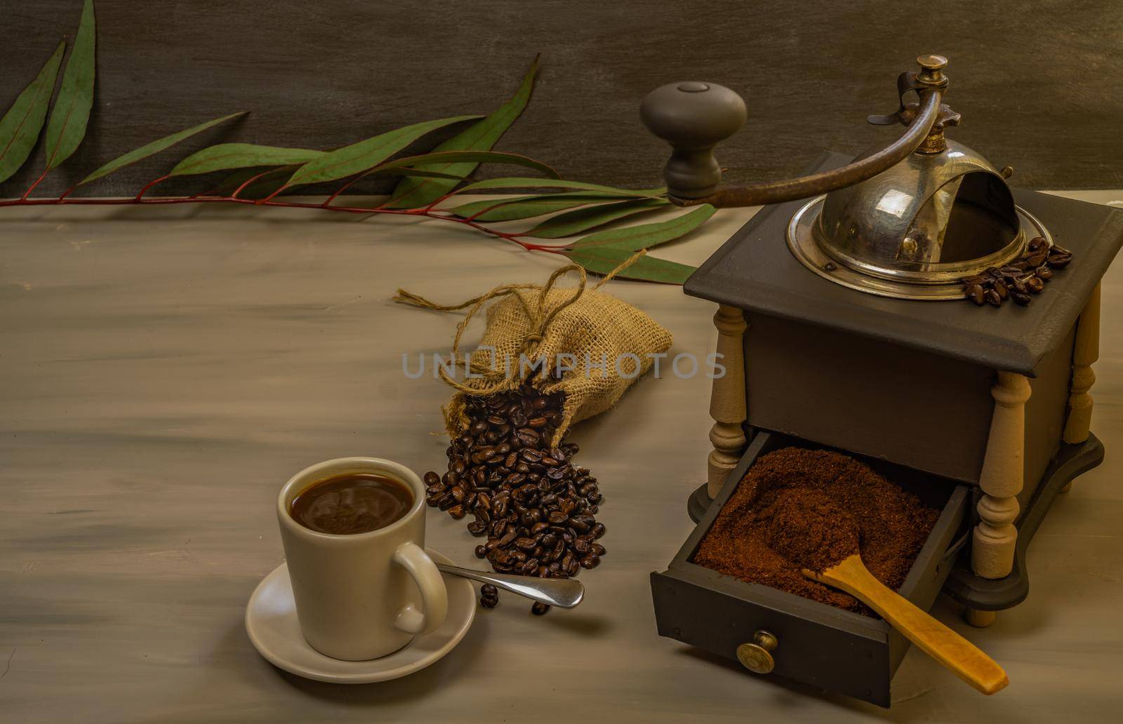 coffee beans and ground coffee with coffee grinder and flowers