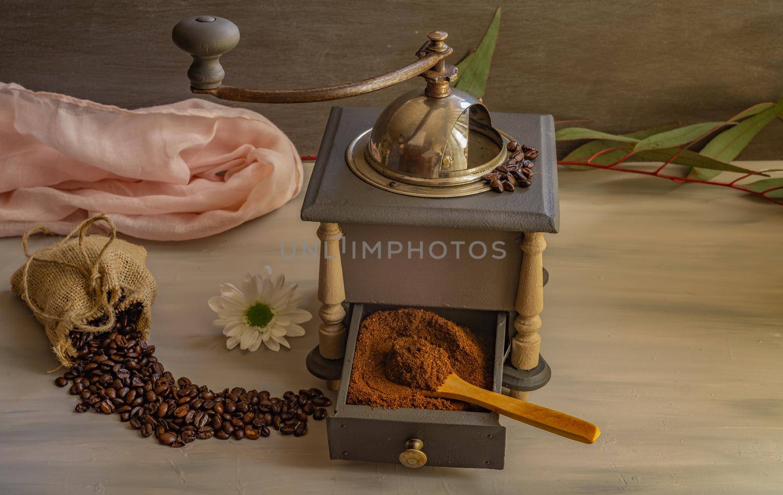 coffee beans and ground coffee with coffee grinder and flowers