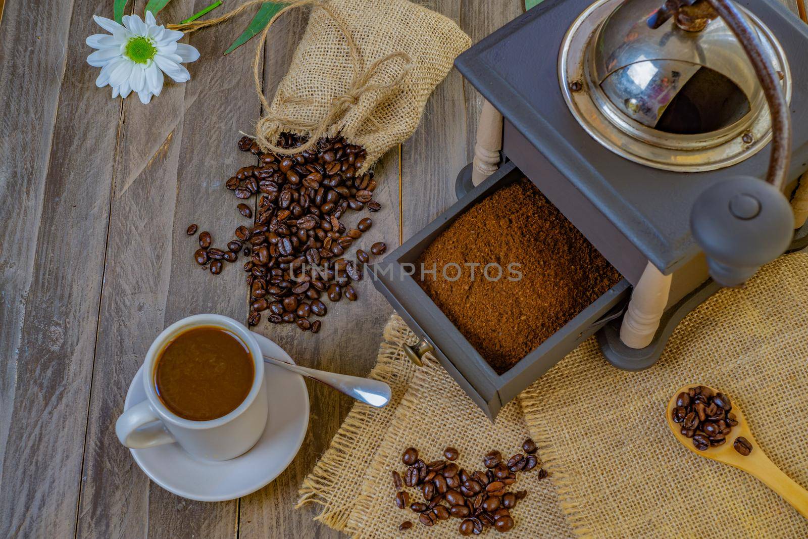 coffee beans and ground coffee with coffee grinder and flowers