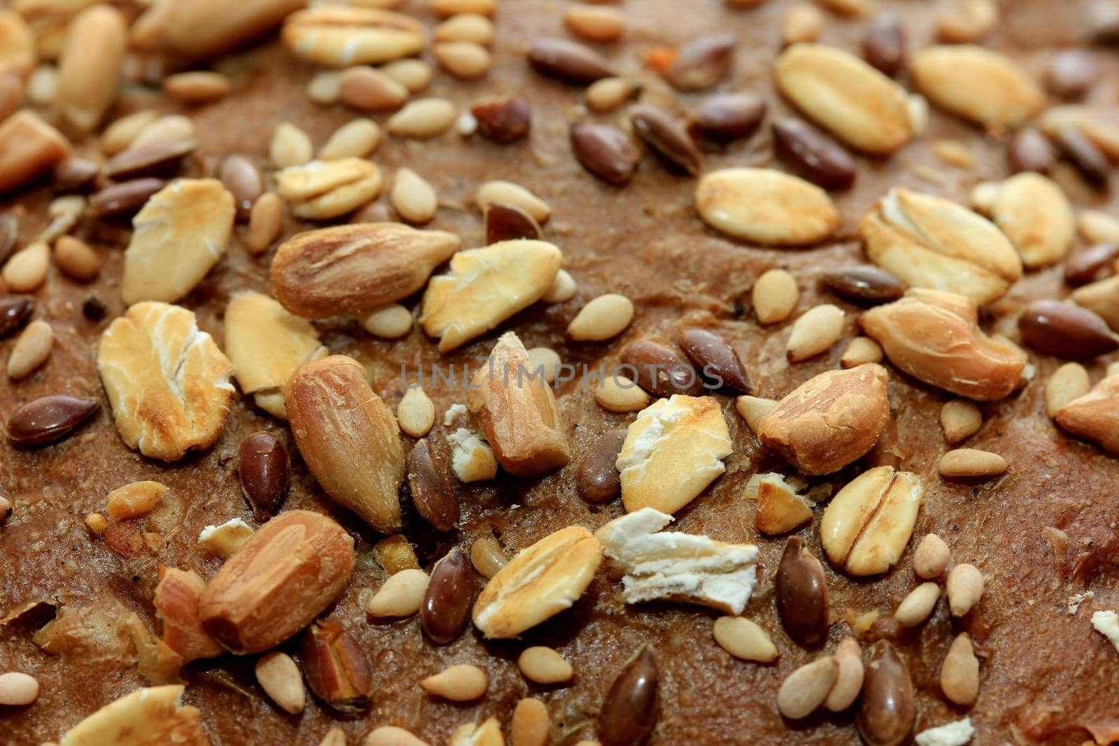 Whole grain sandwich, brown with seeds fresh from bake off, closeup