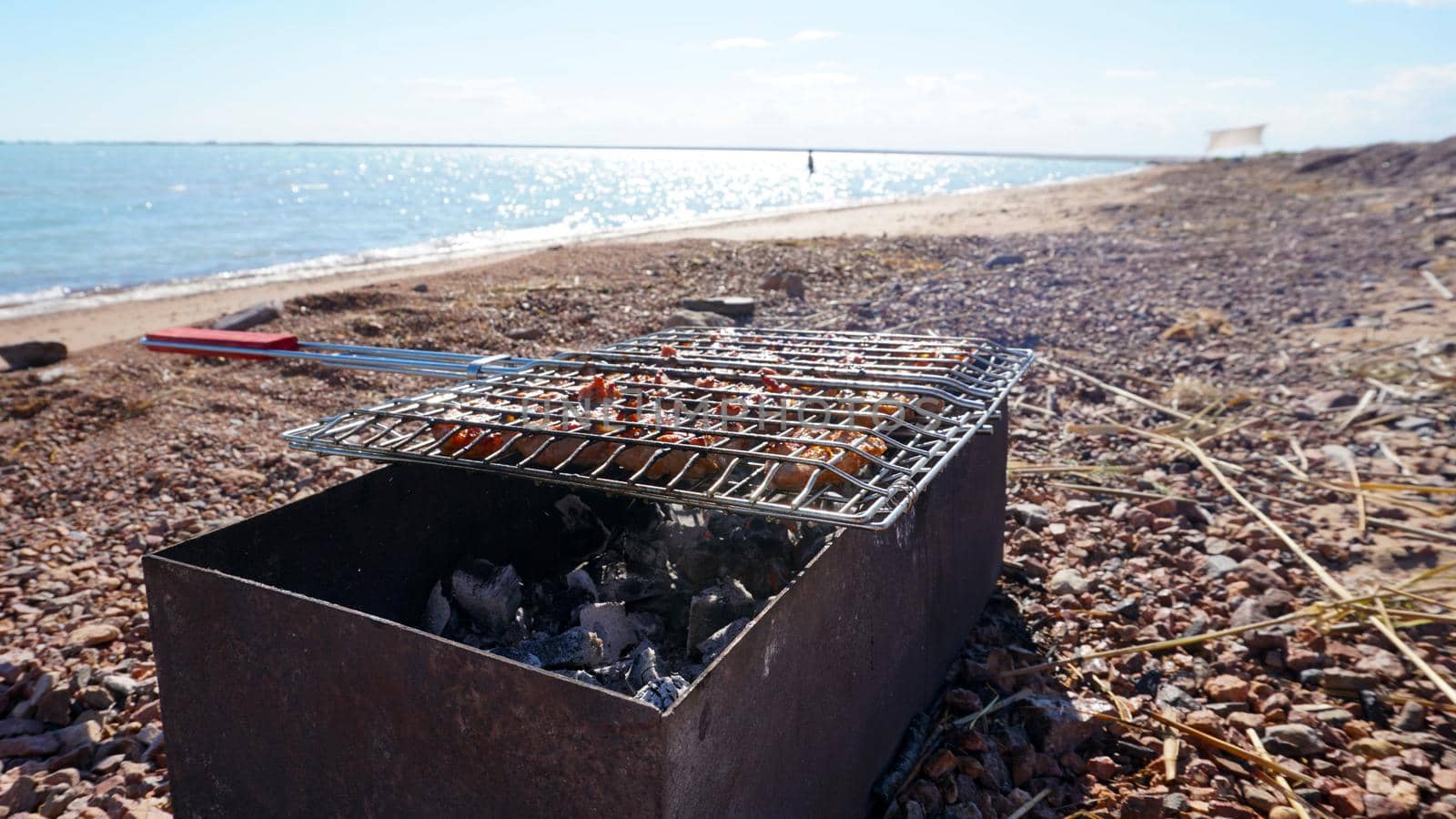 Beautiful pieces of meat lie on the grill with coals. The barbecue stands on the beach, near lake. The meat is fried, there is smoke from coals. Bright day, blue water, yellow sand with dry branches