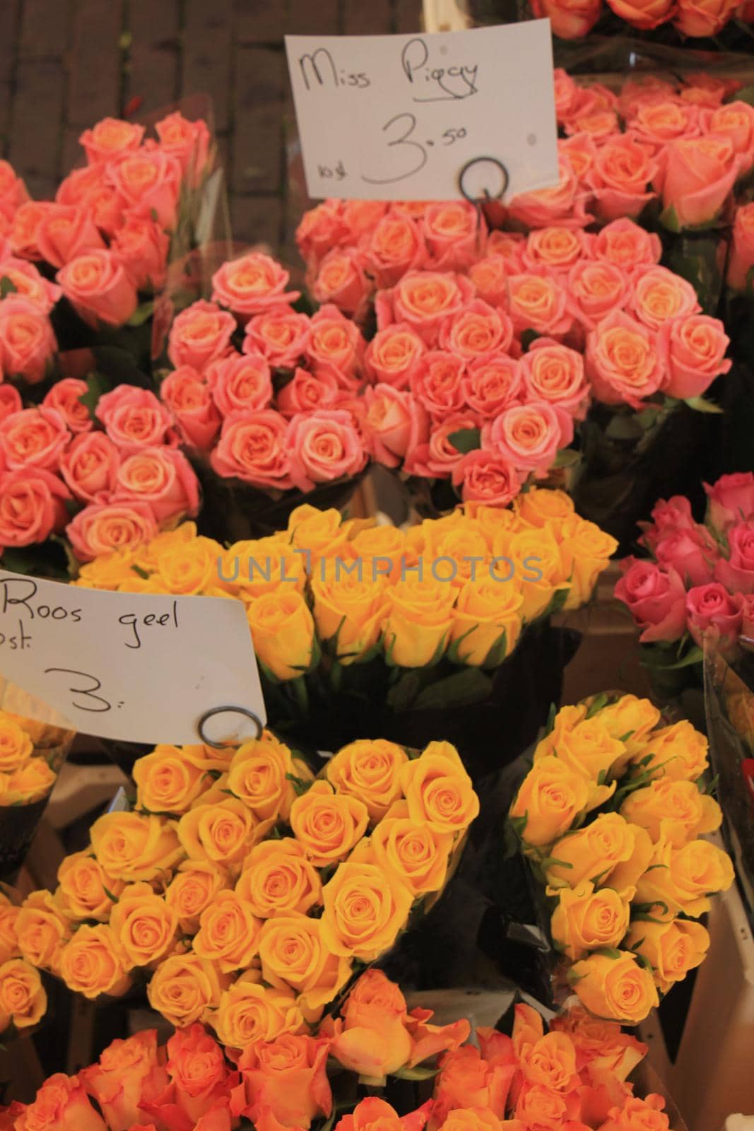 Roses in various colors at a market (text on tags: names and prices in Dutch)