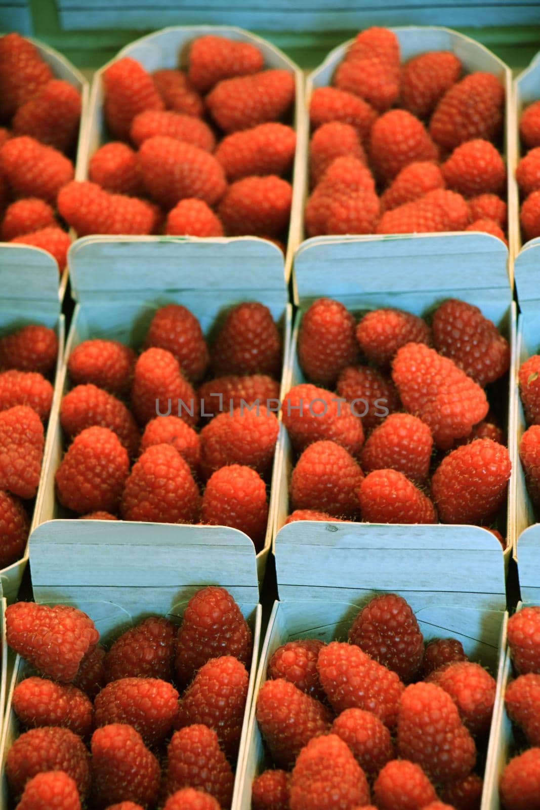 Strawberries in small boxes on a market stall by studioportosabbia