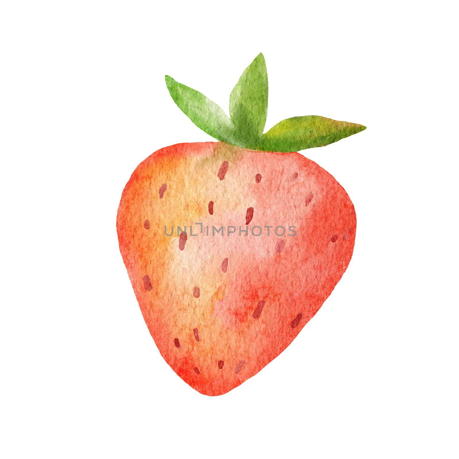 Watercolor cute strawberry and green leaves. Stylized drawing illustration of summer berry isolated on white by ElenaPlatova